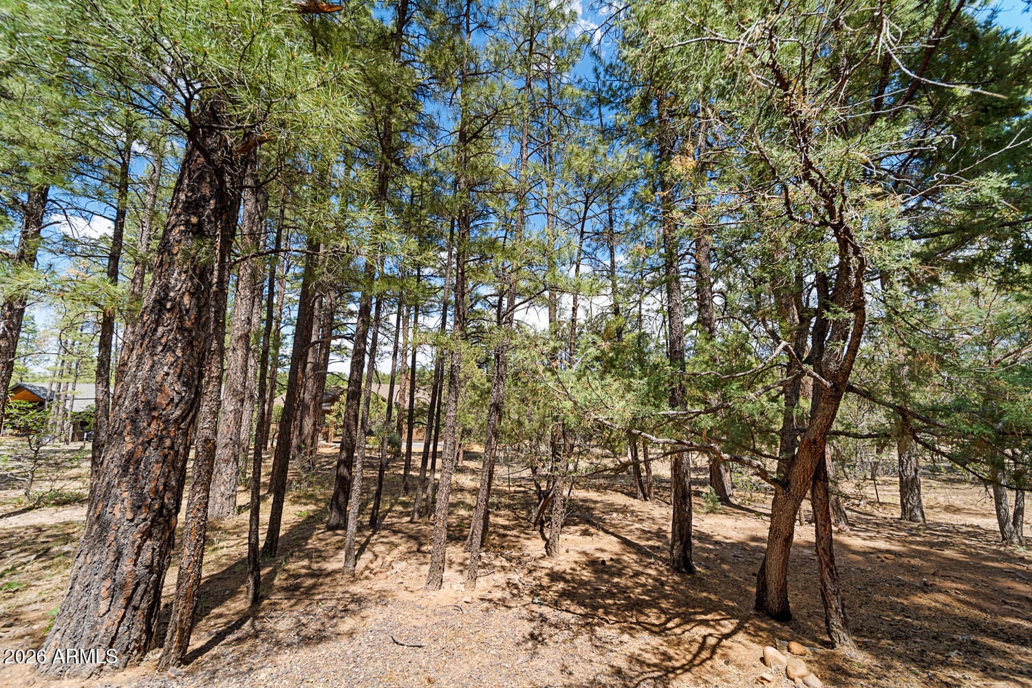 CARDINAL LANDING AT TORREON - Residential
