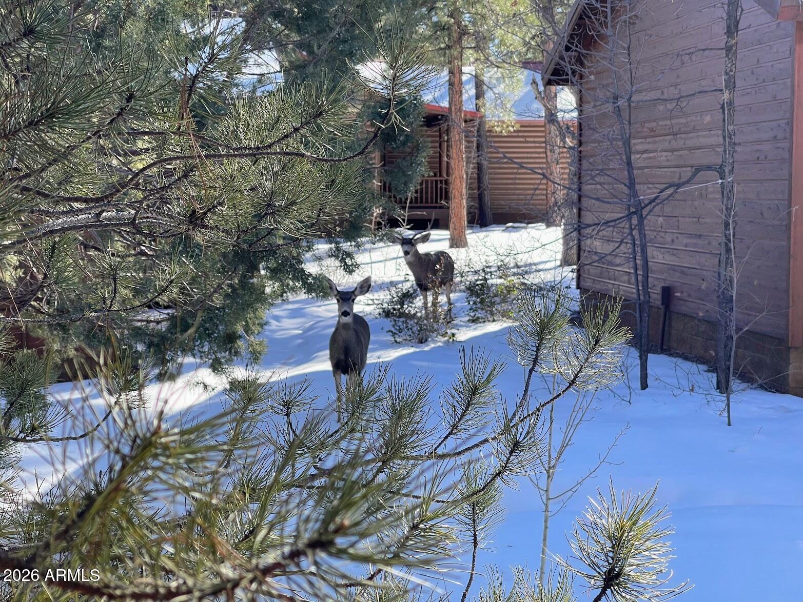 CARDINAL LANDING AT TORREON - Residential