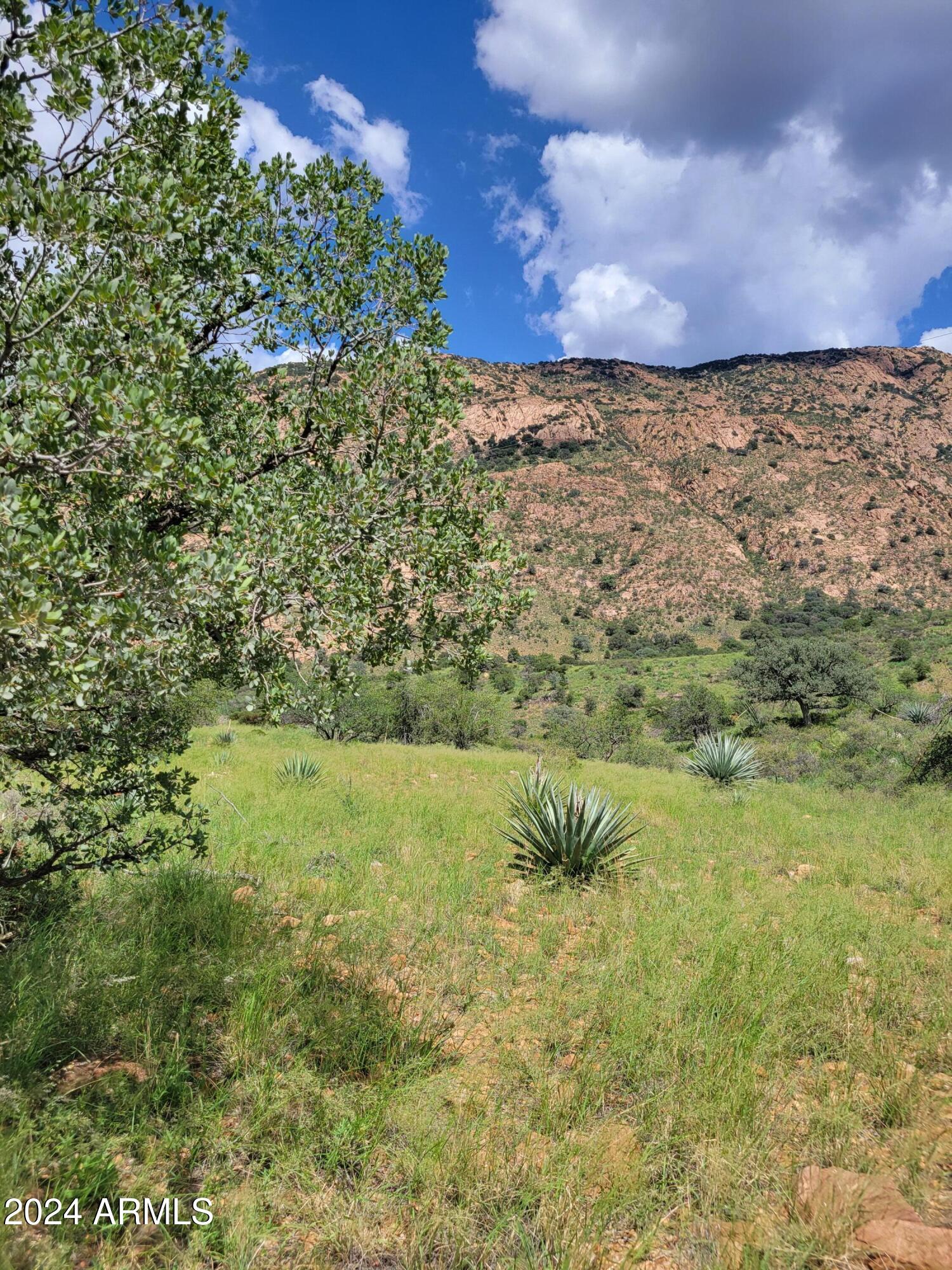 Build your dream home here! Beautiful mountain-side living with incredible views 360-degrees in a much desired canyon before you get to Bisbee.  Located 10-minutes from Bisbee and 20-minutes from Sierra Vista.  Building sites in or around the oaks with incredible mountain views at about 5,000-feet in altitude.  Enjoy the seasonal monsoons, and occasional snow flurries...Bisbee has the BEST weather in the US!  Abundant wildlife with mule deer, white-tailed coues deer, coatamundi, bobcats, and a huge variety of bird life.  Overhead power lines, but no current access to power. No well, but neighboring properties have found water at 350-feet. Buyer to verify all relevant facts.  Two Additional Connecting Parcels May Be Available for a TOTAL Acreage of 13.66-ACRES.