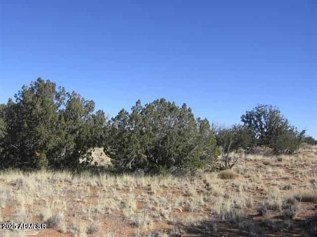 Chevelon Acres - Land