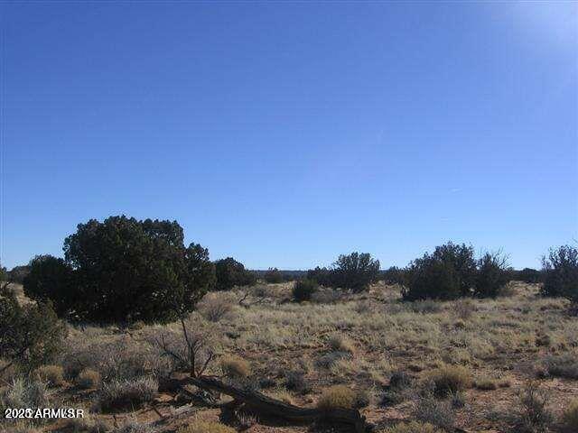 Chevelon Acres - Land