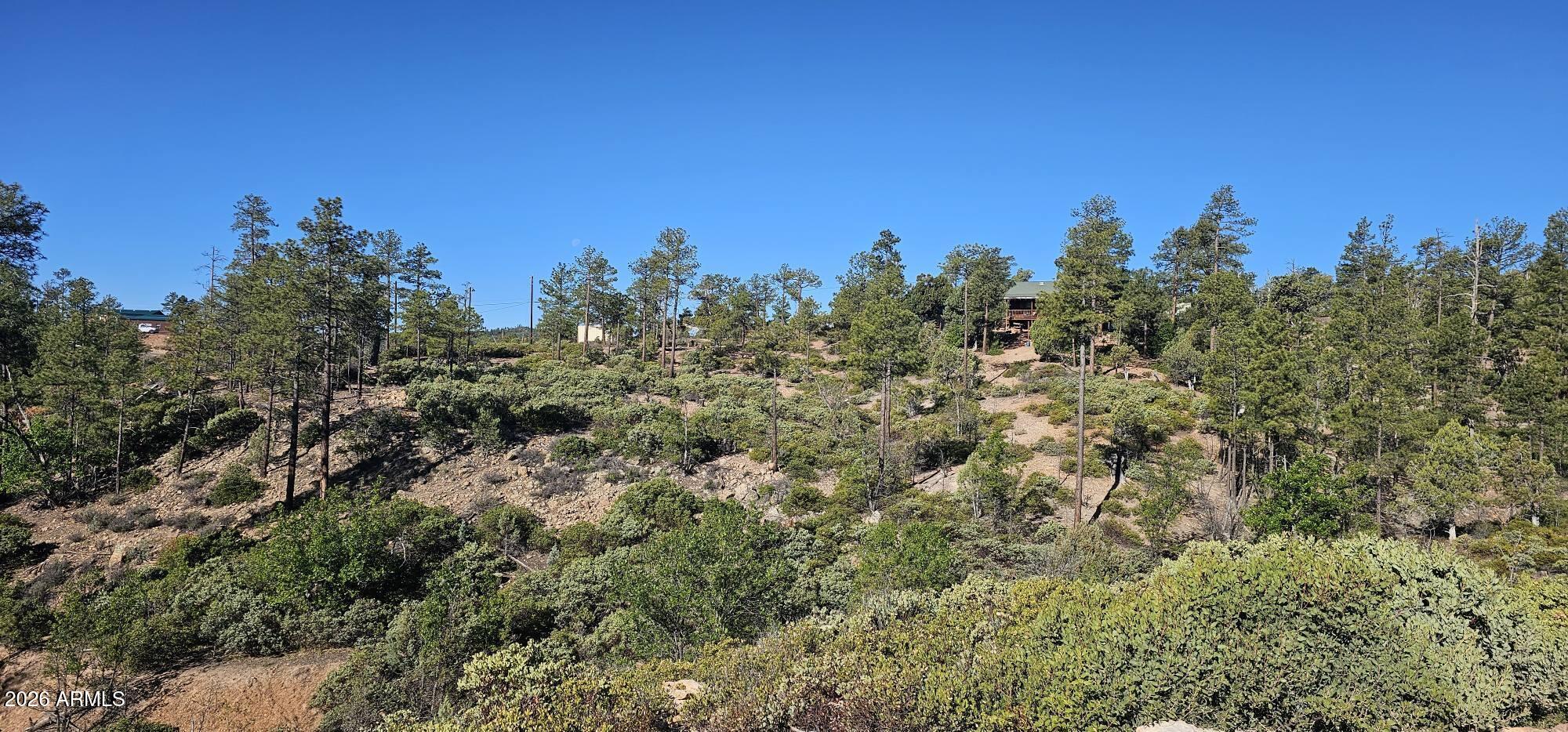 Timberland Acres - Land