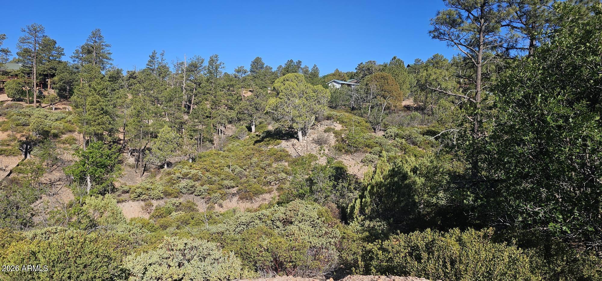 Timberland Acres - Land