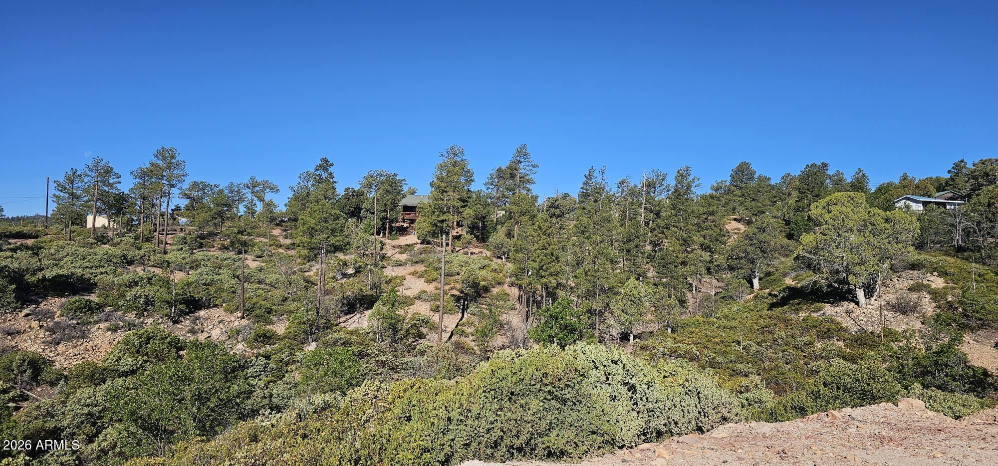 Timberland Acres - Land