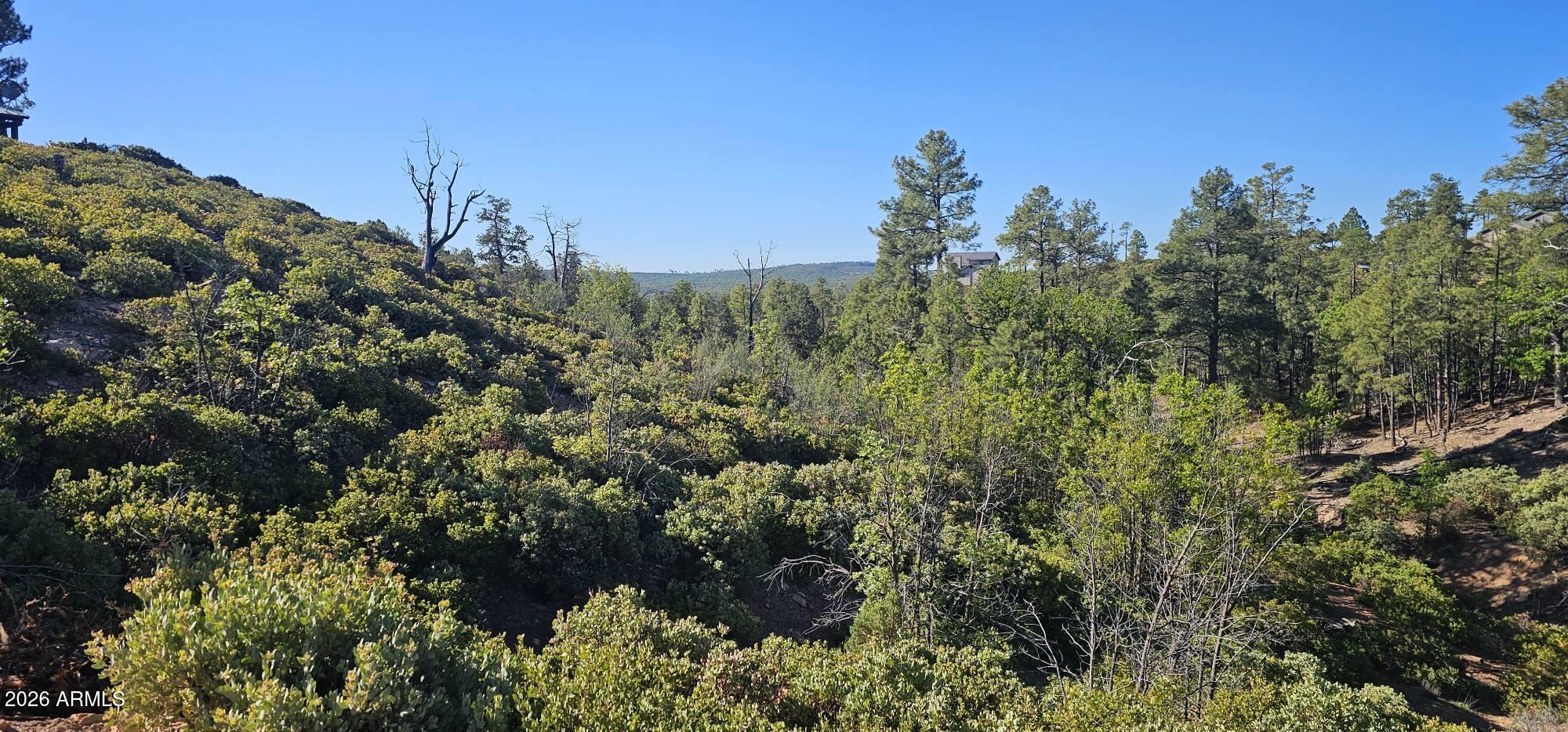 This 1.06 Acre Homesite is located in the Community of Timberland Acres and is ready for Your Mountain Home. Water and Electric are at the street. The homesite has already been rough graded and is open for you to choose the home placement. The majority of this lot is usable and it has amazing views of the canyon below.  The area has plentiful Pine and Oak Trees. Site built or Manufactured Homes are both acceptable. Downtown Show Low is about 15 min away with all the conveniences of Stores, Restaurants, Summit Hospital, Theater, Indoor Pool, City Park.  Hiking, Biking, or Riding your ATV is easy to go right from your home to the Juniper Ridge Trails that border this neighborhood. This lot is priced to sell so don't miss out.