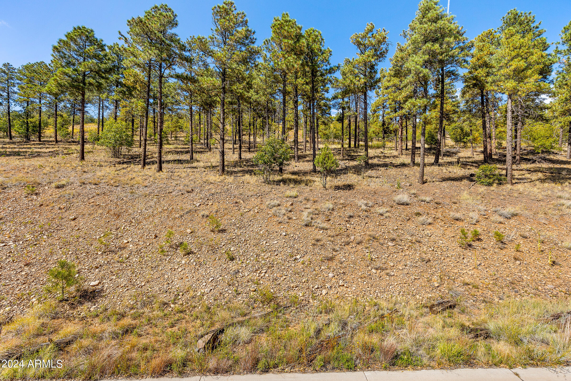 Fimbrez Estates - Land