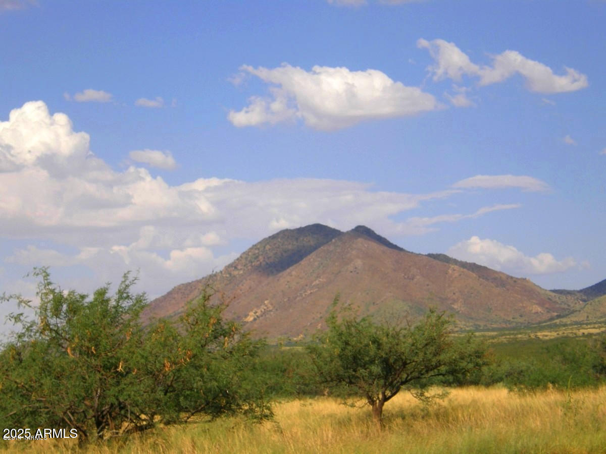 DRAGOON MOUNTAIN RANCH 1 - Land