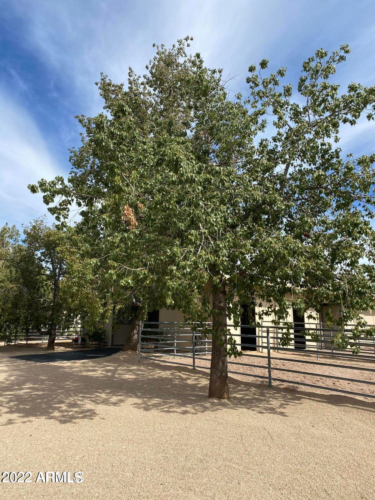 5 ACRE HORSE RANCH CITY WATER PAVED ROADS - Residential