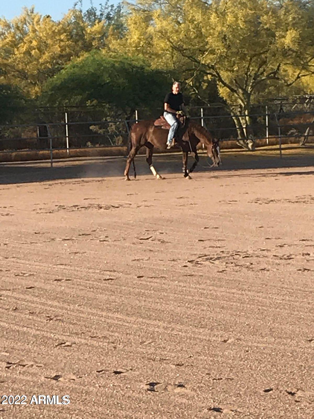 5 ACRE HORSE RANCH CITY WATER PAVED ROADS - Residential