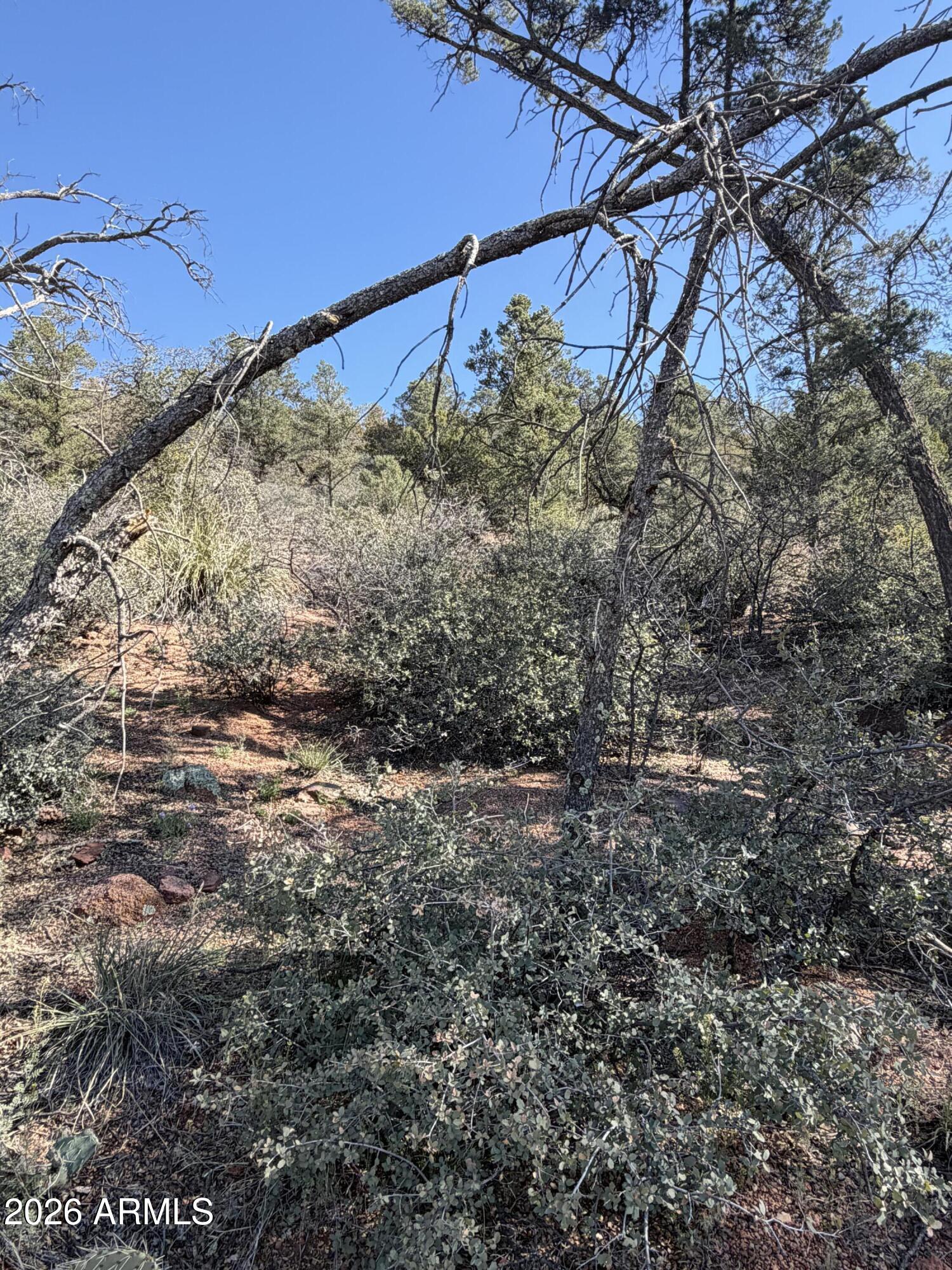 WOODHILL 2 - Land