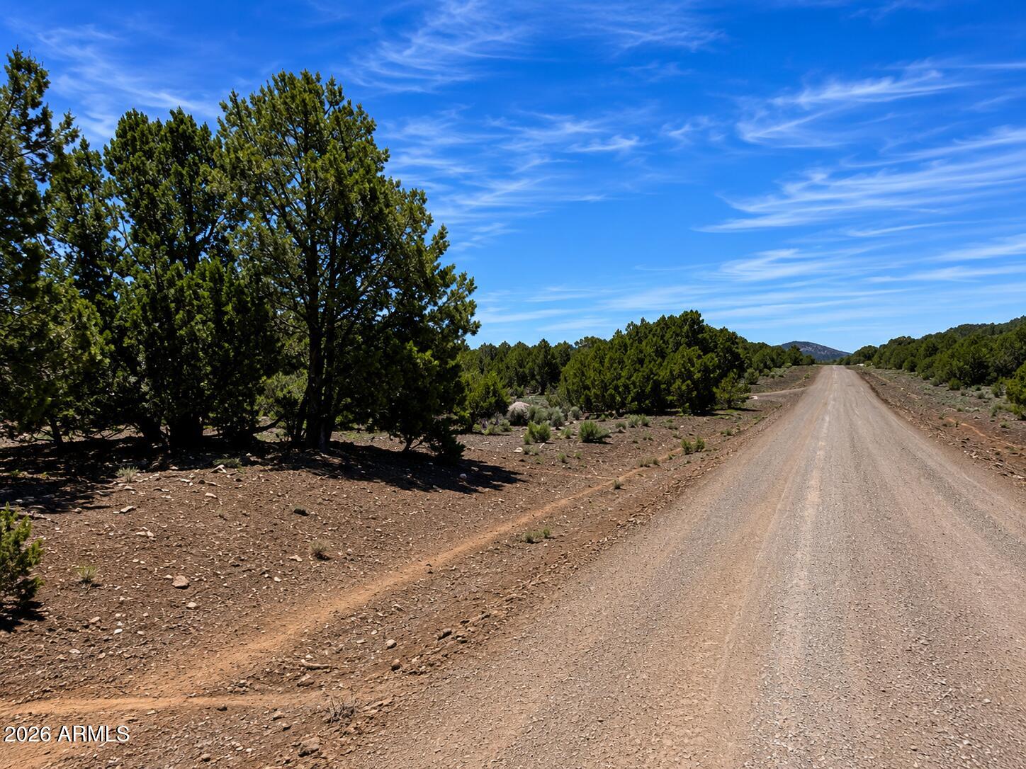 Escape to the cool mountain air and endless beauty of Northern Arizona with this exceptional 1.08-acre parcel in Williams. Whether you're looking to build your dream cabin, create a peaceful full-time residence, or invest in one of Arizona's most sought-after recreational markets, this property offers incredible potential. Enjoy breathtaking sunsets, star-filled skies, and the privacy of wide-open spaces while remaining within easy reach of downtown Williams, Historic Route 66, the Grand Canyon, Flagstaff, and countless outdoor adventures. Bring your vision and make this property your own--ideal for camping, a future custom home, or a weekend retreat. Don't miss this opportunity to own your own slice of Arizona paradise in the cool pines and natural beauty of Williams.