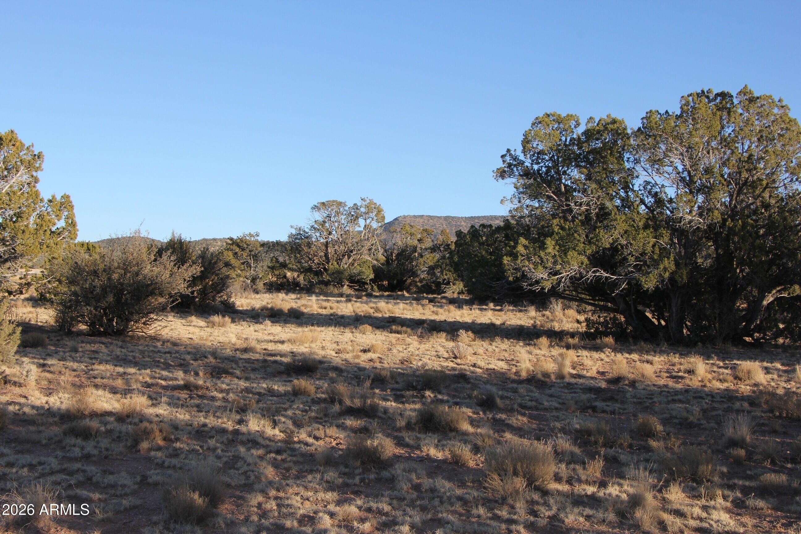 Sierra Verde Ranch - Land