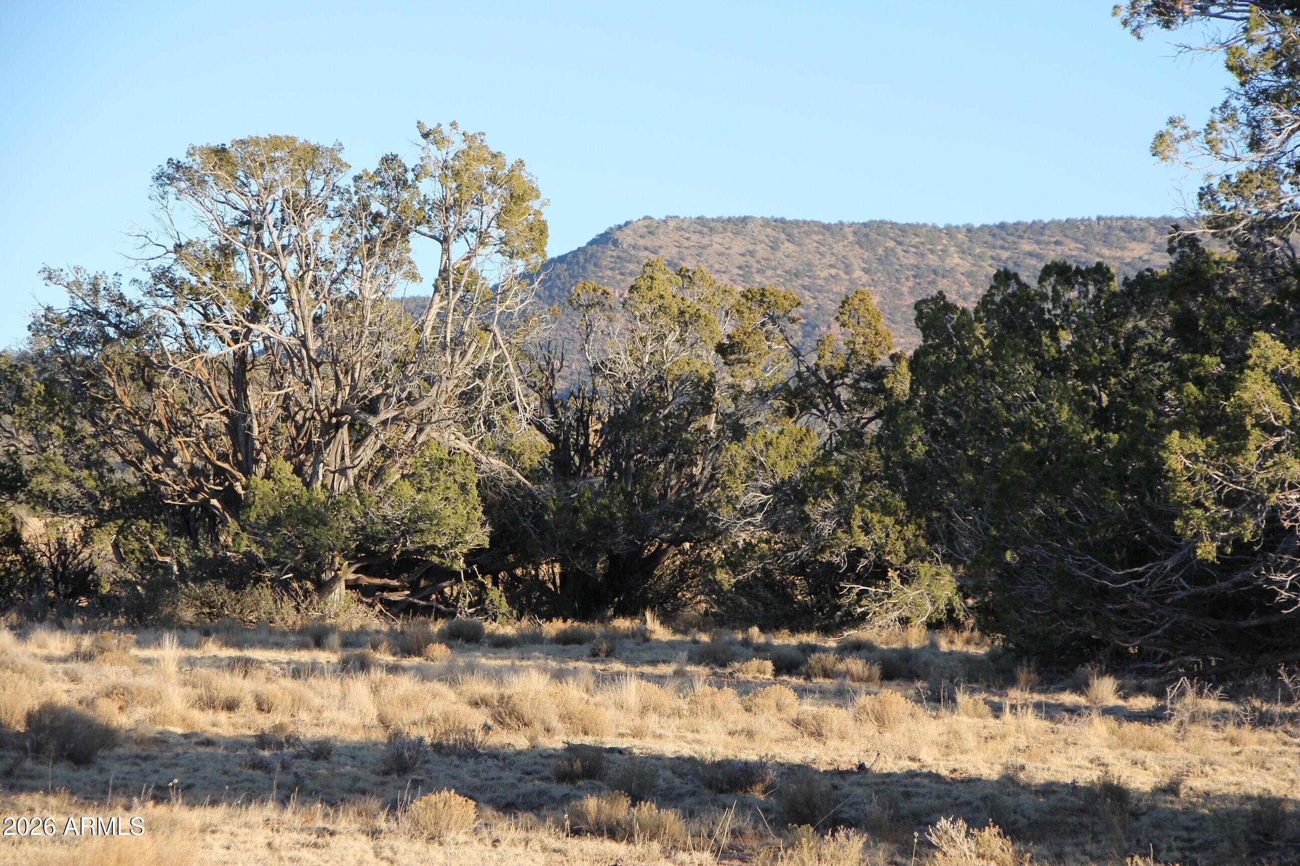 Sierra Verde Ranch - Land