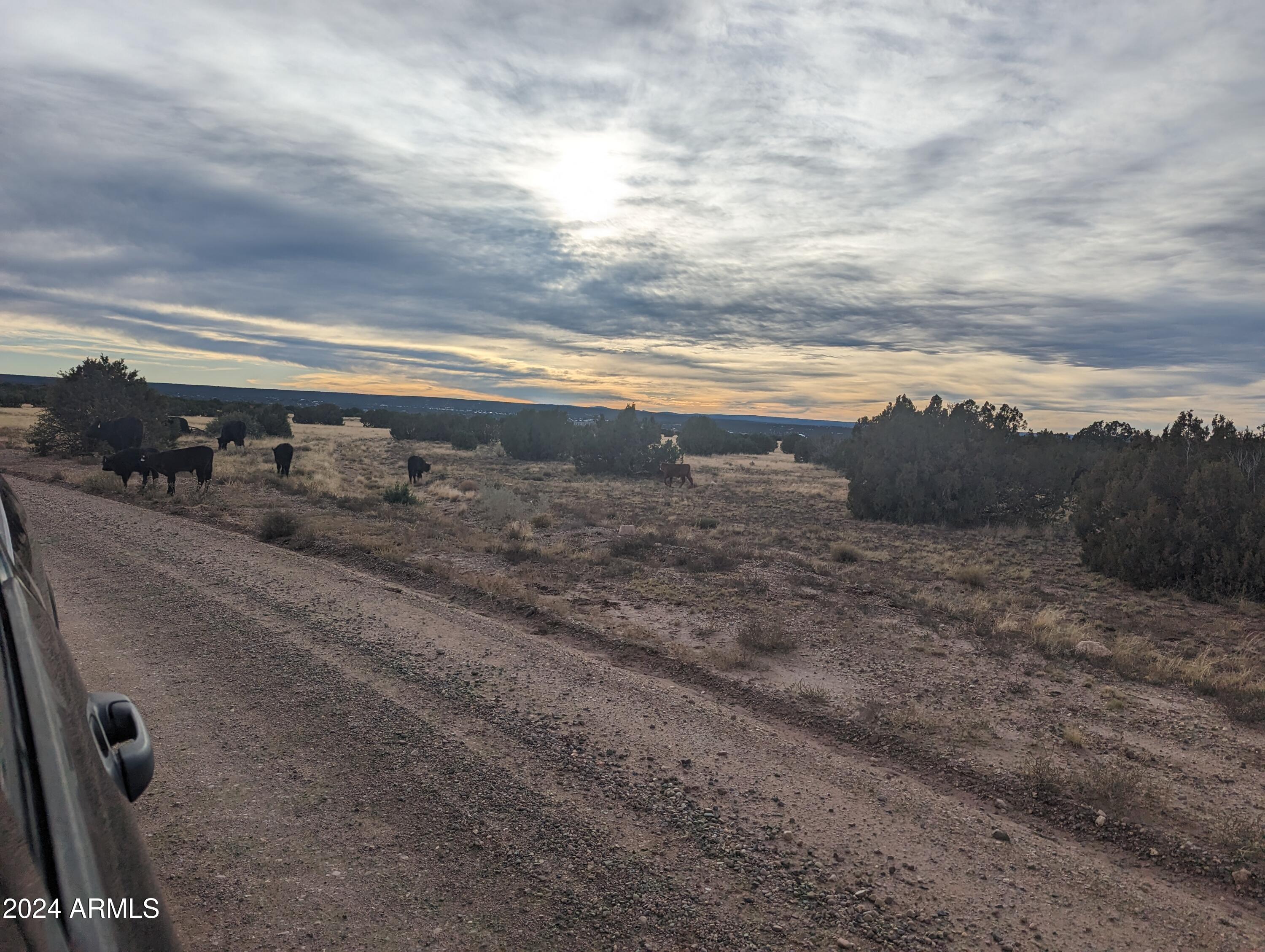 Multiple 10 Acre Parcels available.
404-69-005  C, D, E, F - Land
