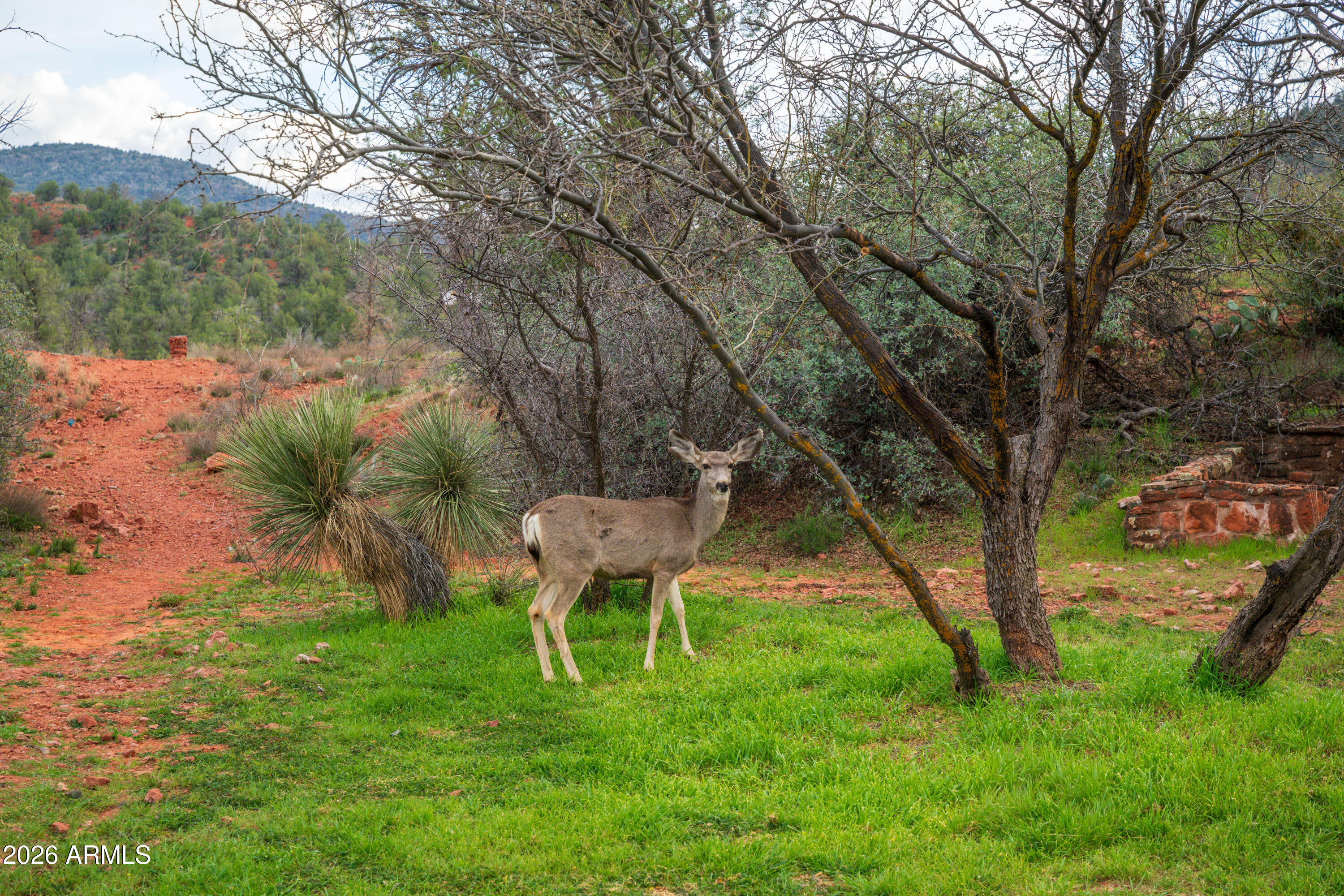 CROSS CREEK RANCH - Land
