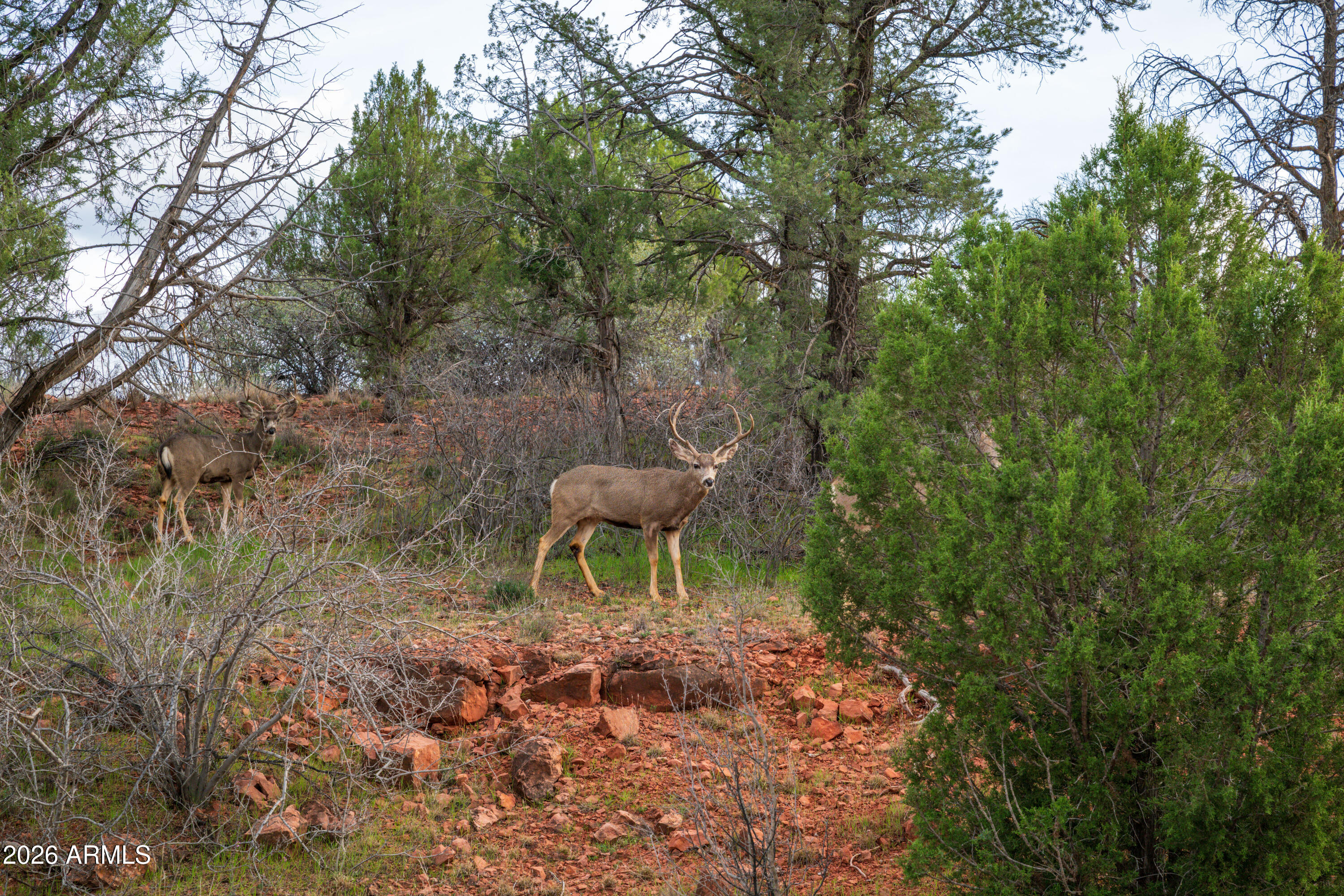 CROSS CREEK RANCH - Land