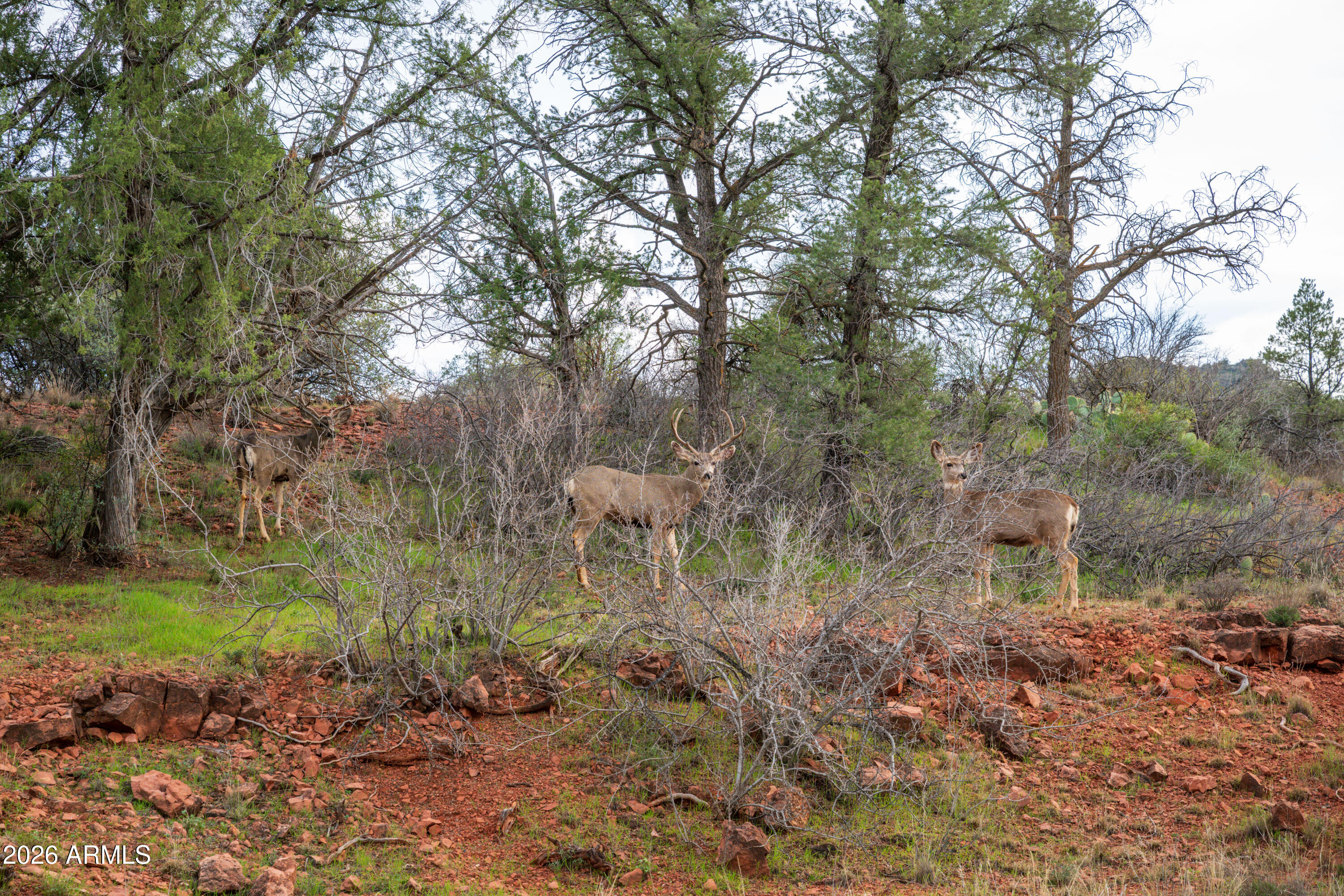 CROSS CREEK RANCH - Land