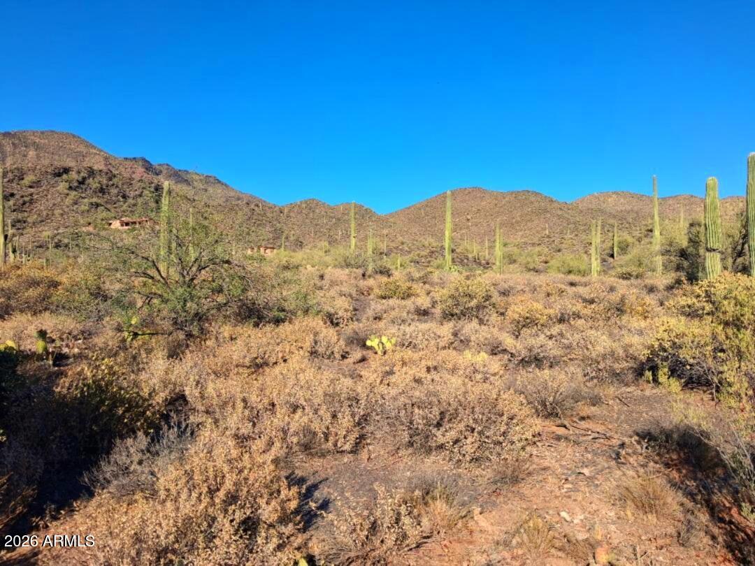 Canyon Del Oro - Land
