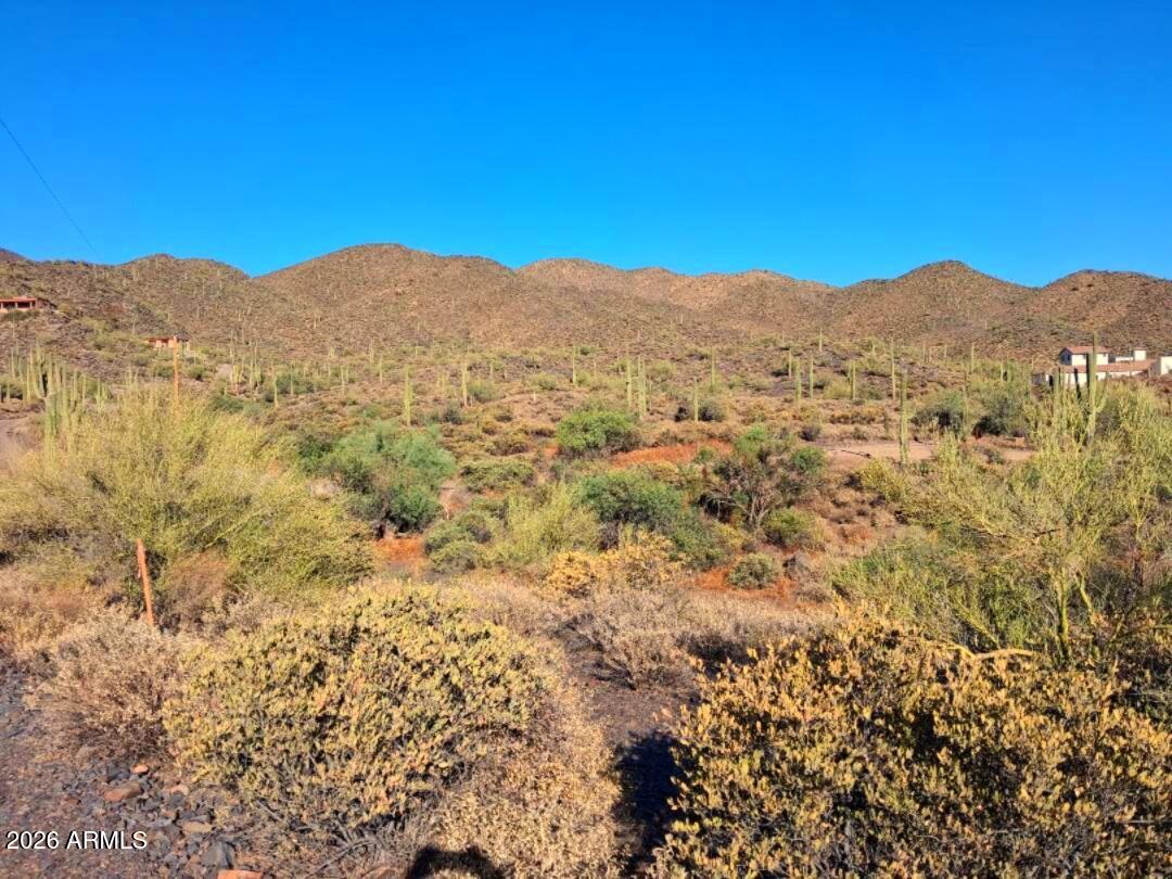Canyon Del Oro - Land