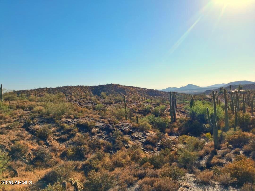 Canyon Del Oro - Land