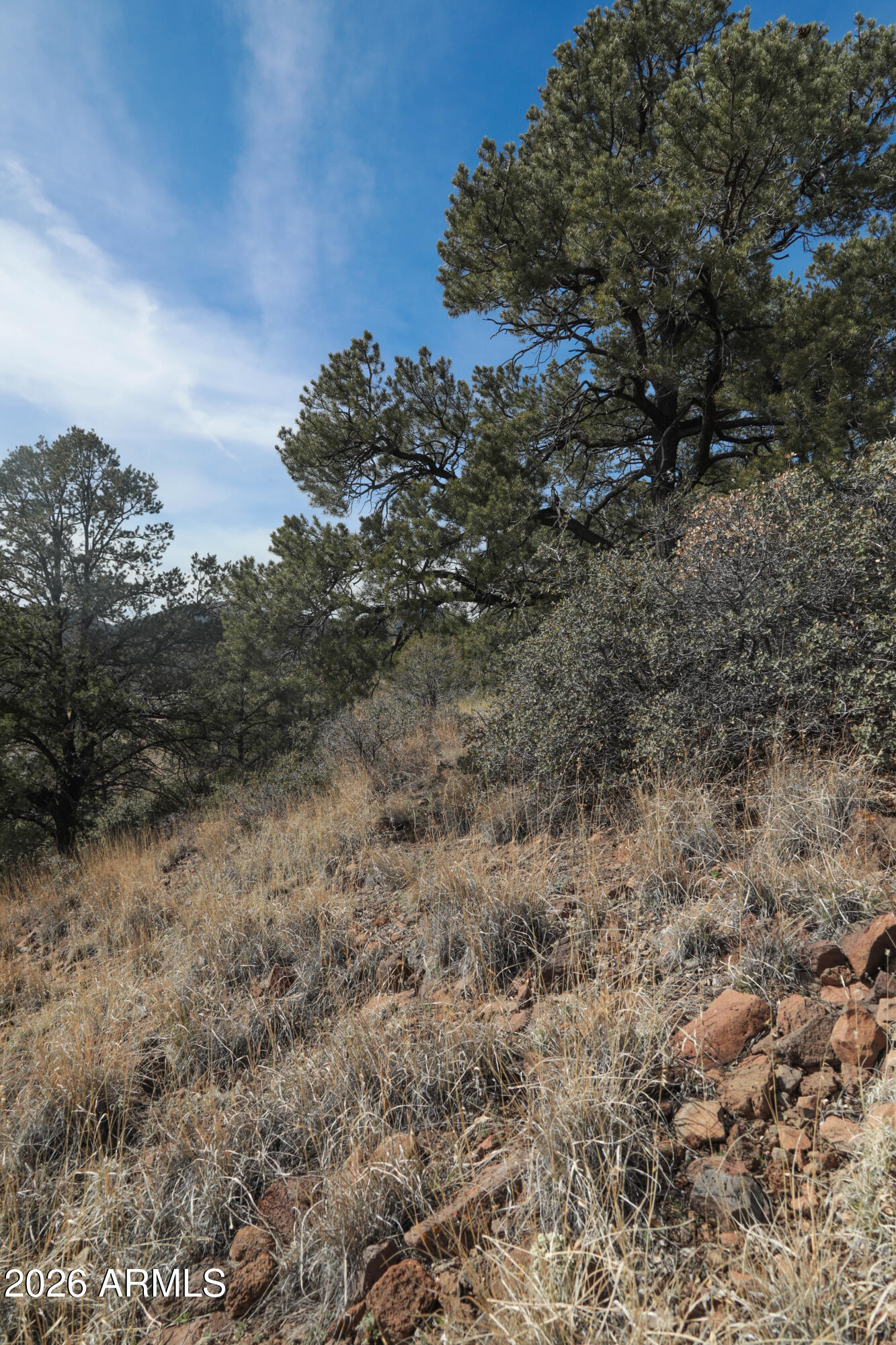 STRINGFIELD AT GRANITE MOUNTAIN PHASE 1 - Land