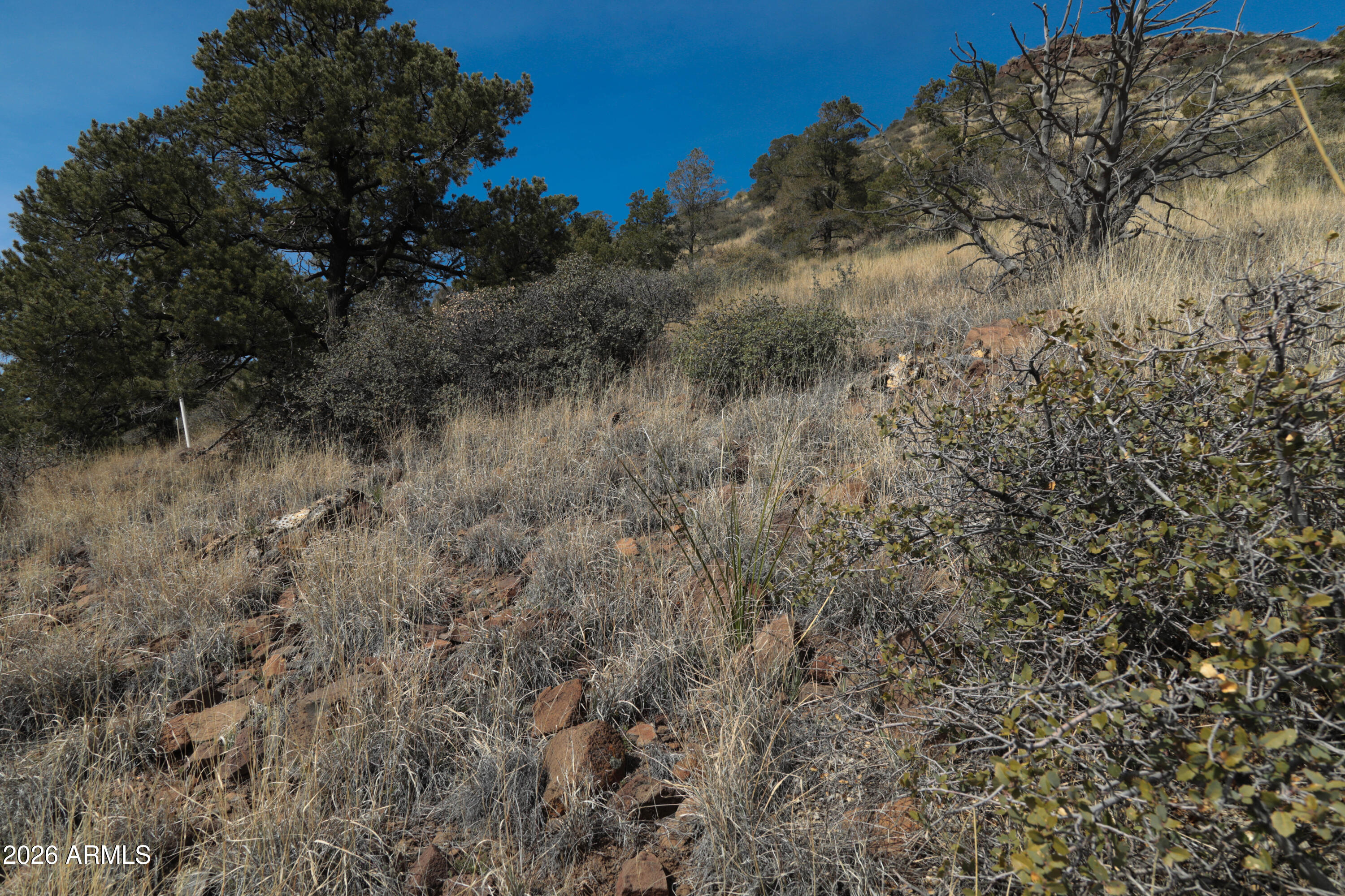 STRINGFIELD AT GRANITE MOUNTAIN PHASE 1 - Land