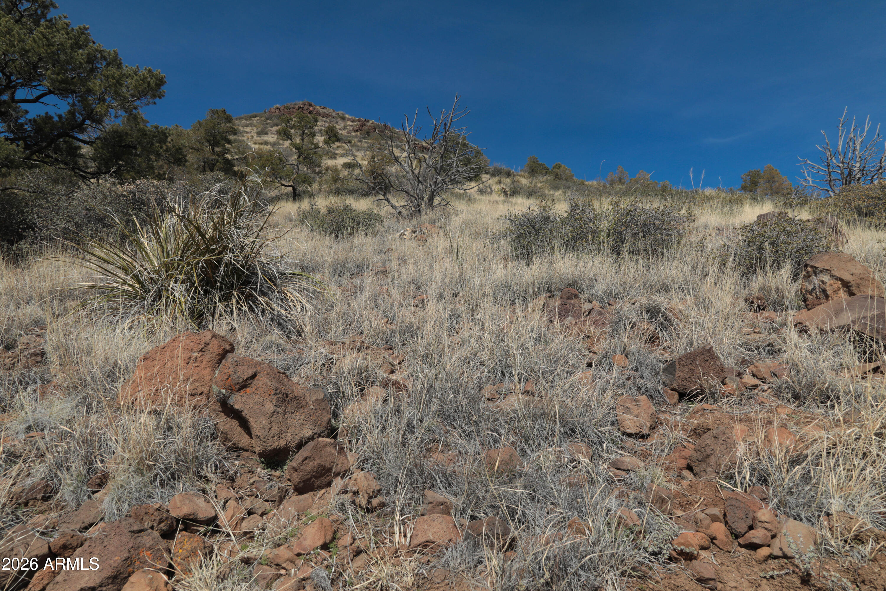STRINGFIELD AT GRANITE MOUNTAIN PHASE 1 - Land