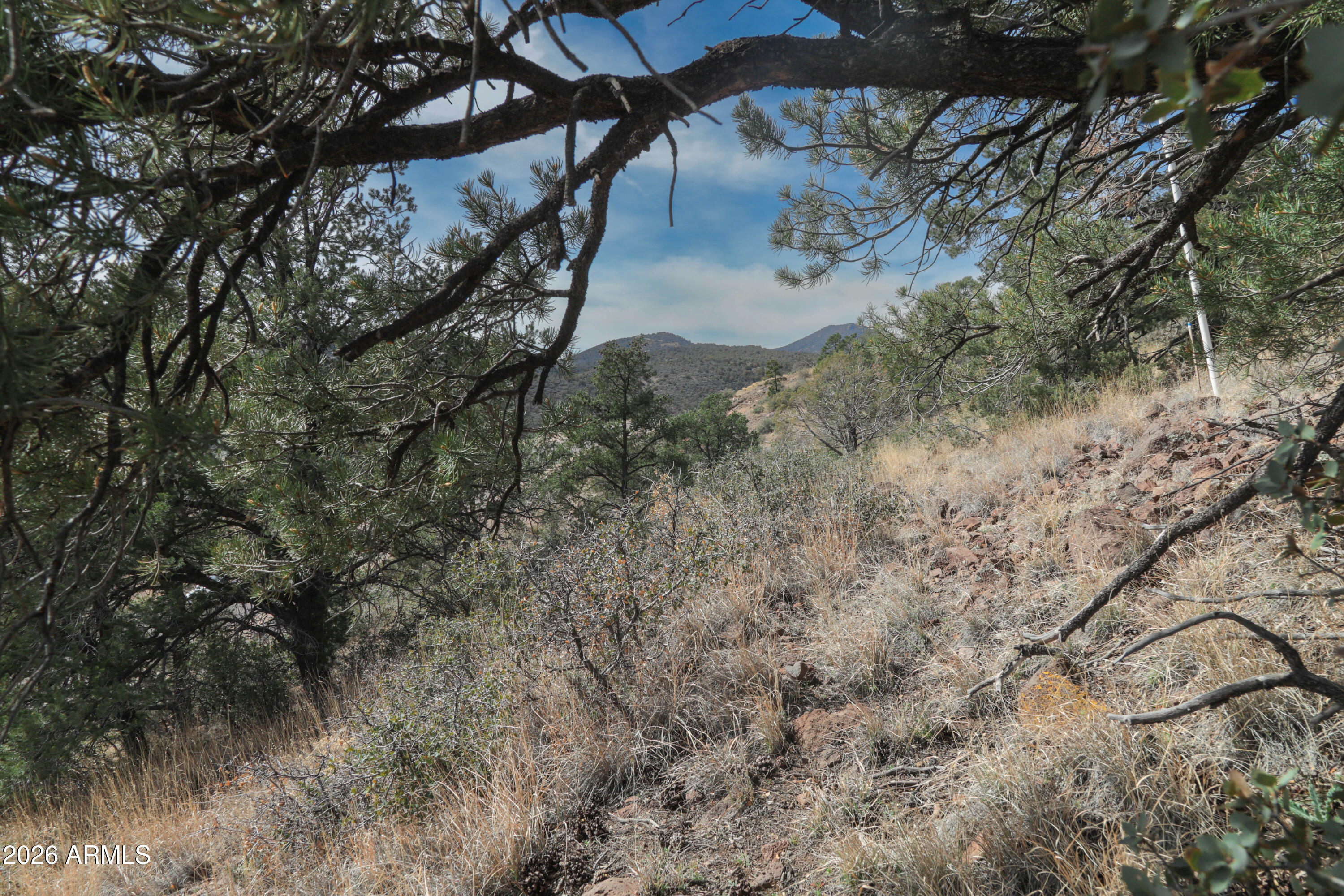 STRINGFIELD AT GRANITE MOUNTAIN PHASE 1 - Land