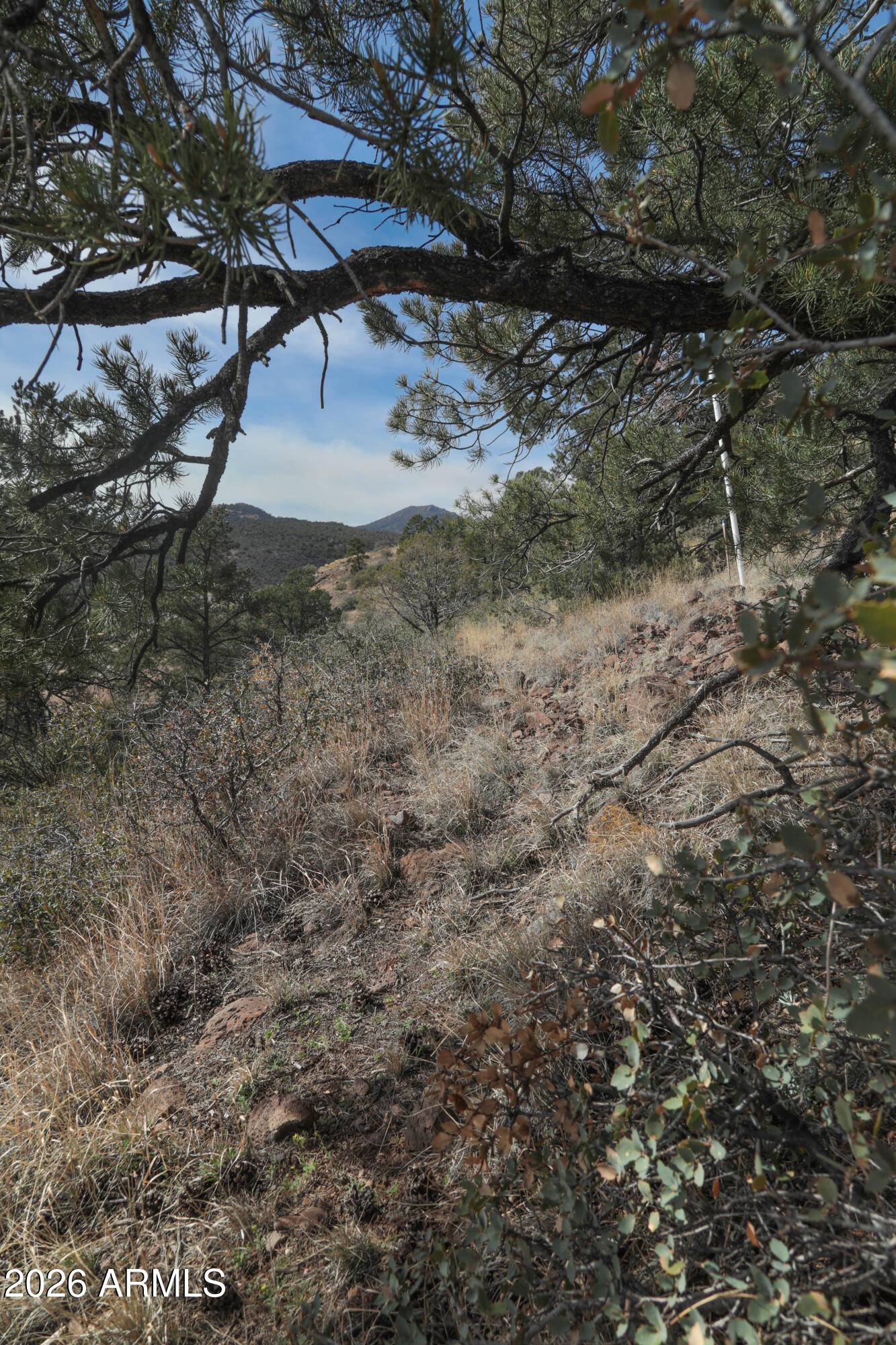 STRINGFIELD AT GRANITE MOUNTAIN PHASE 1 - Land