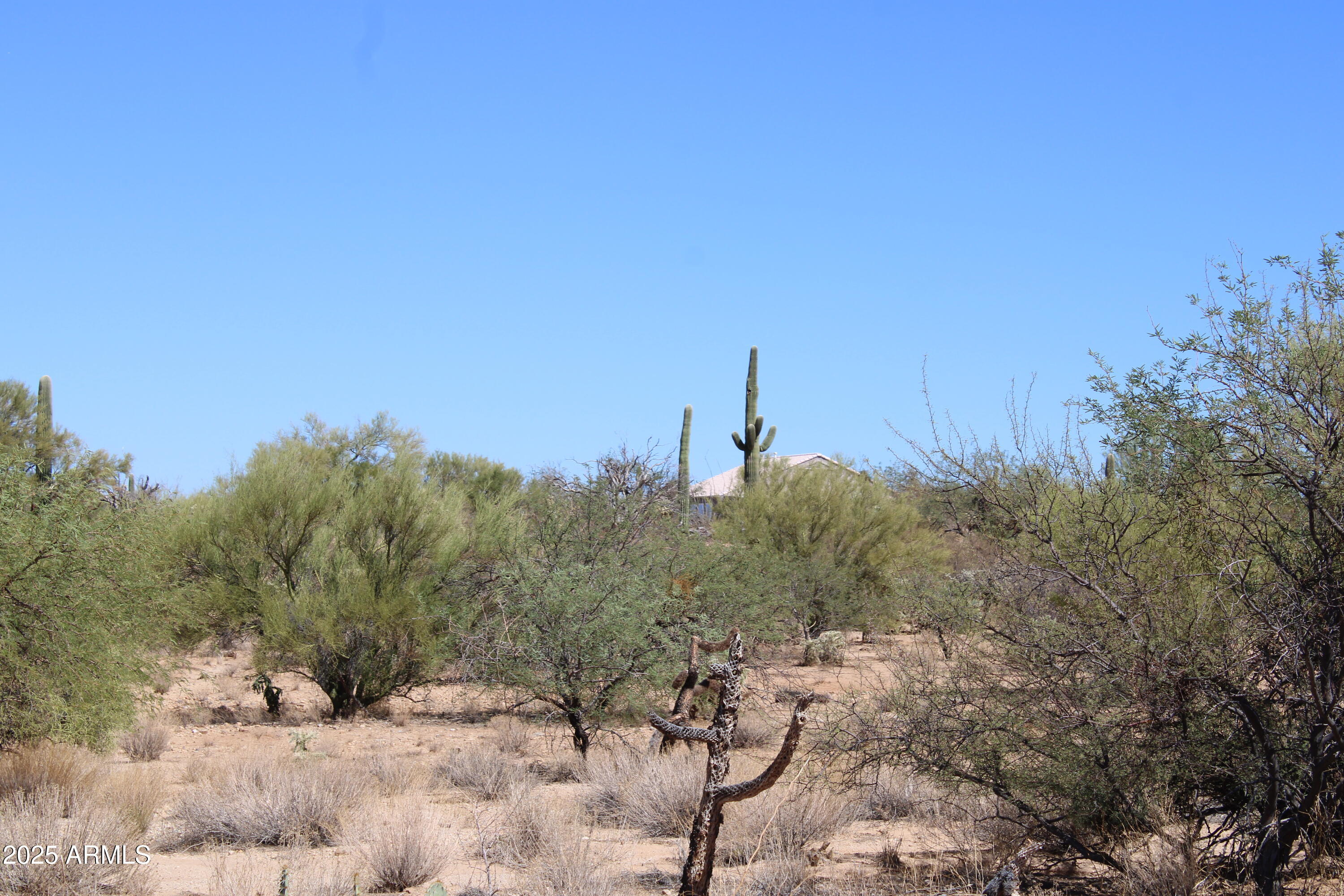 DIAMOND BELL RANCH TUCSON - Land