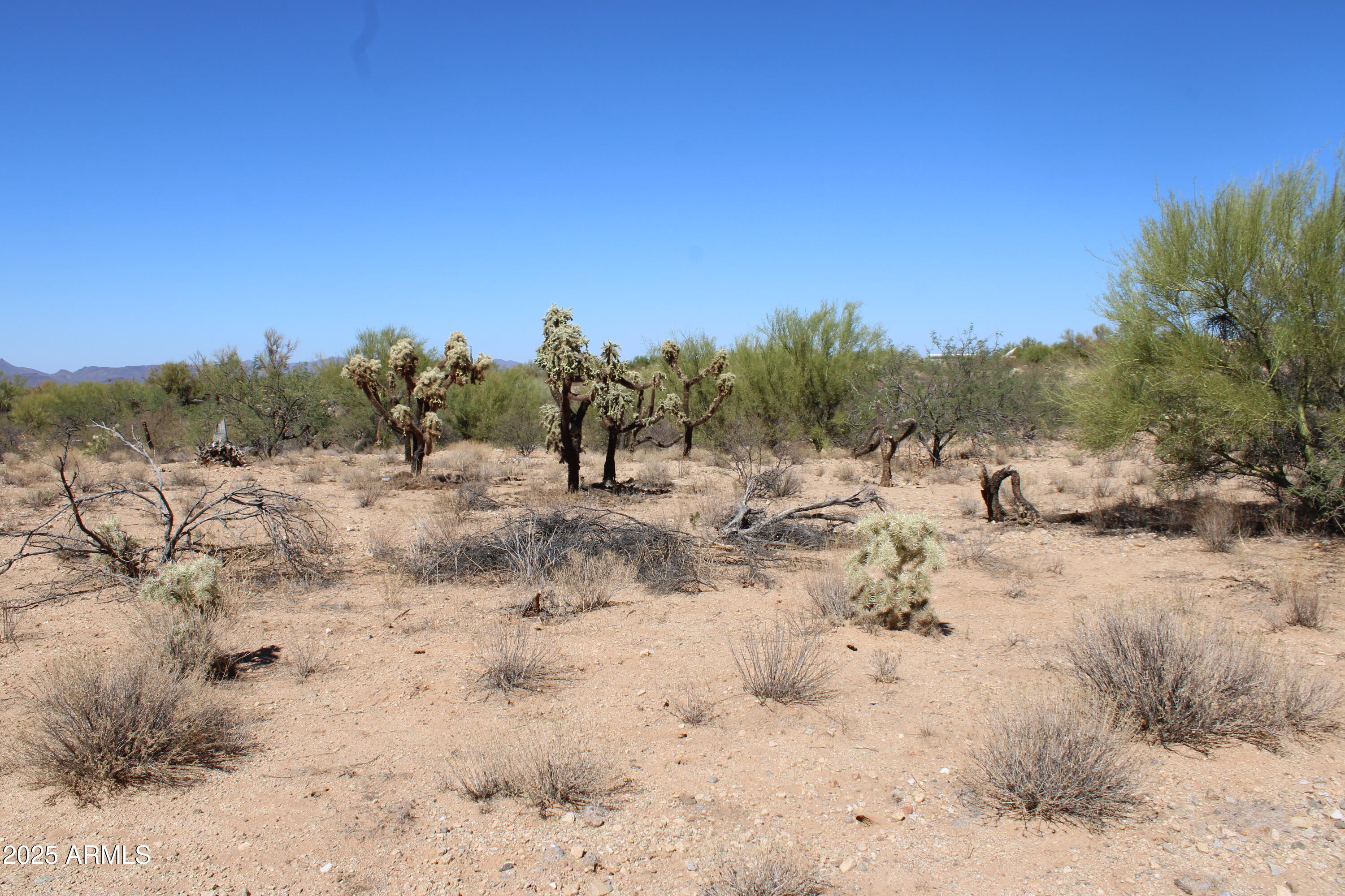 DIAMOND BELL RANCH TUCSON - Land