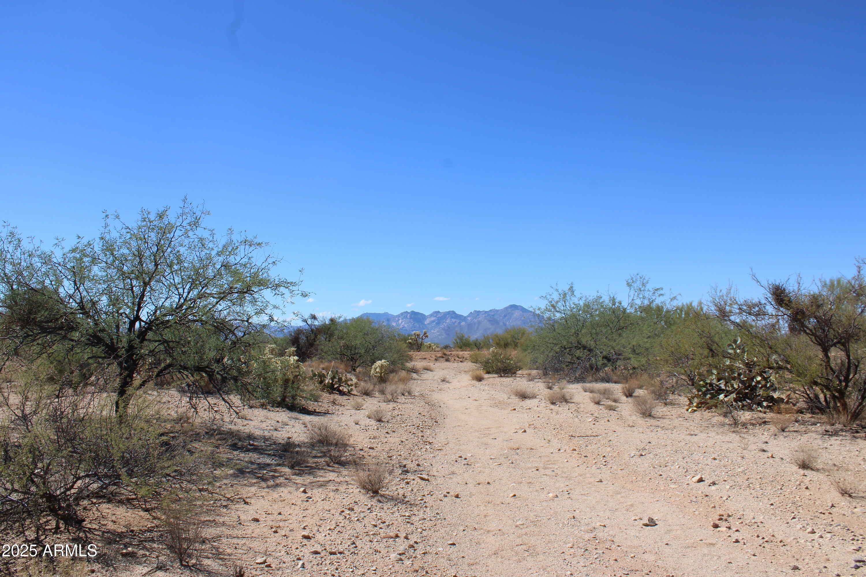 DIAMOND BELL RANCH TUCSON - Land