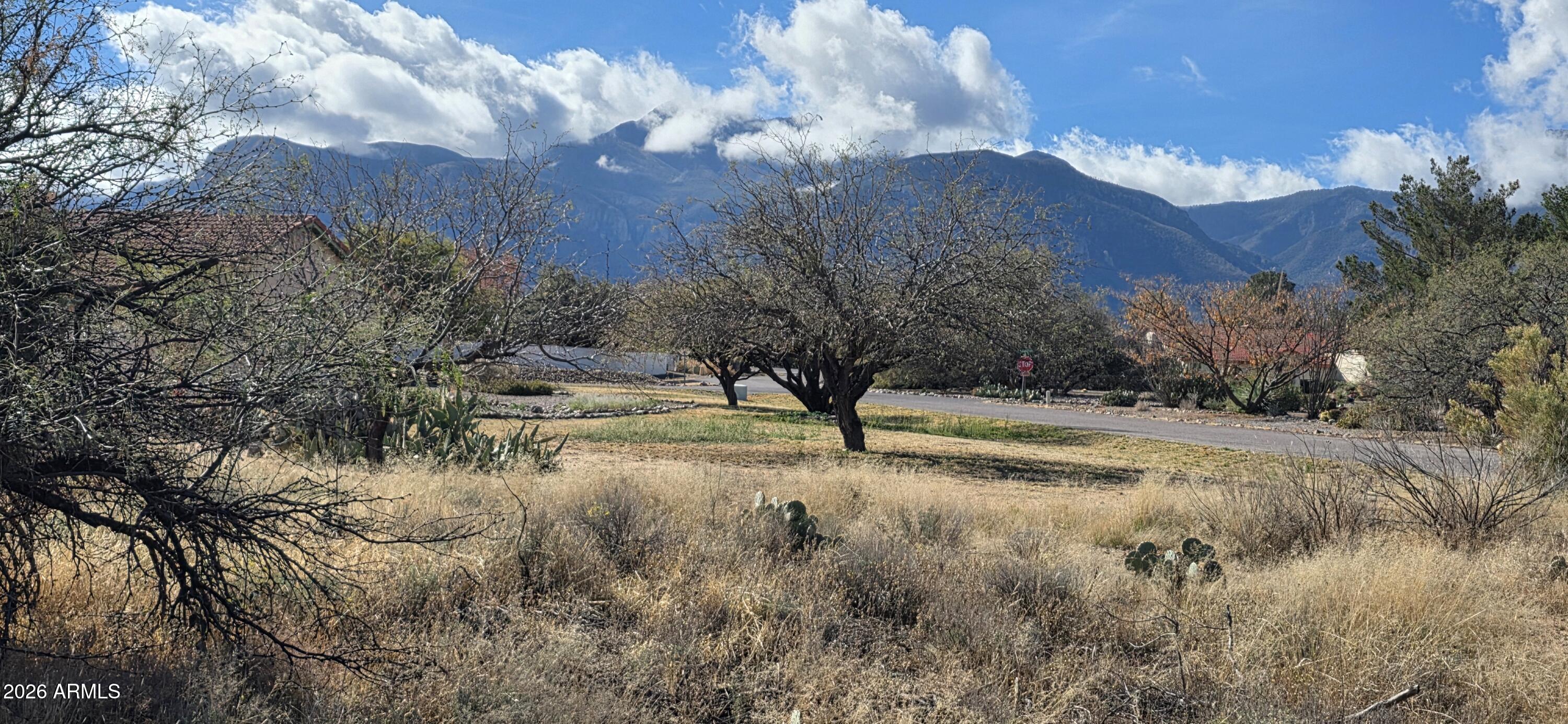 MOUNTAIN SHADOWS PHASE E - Land