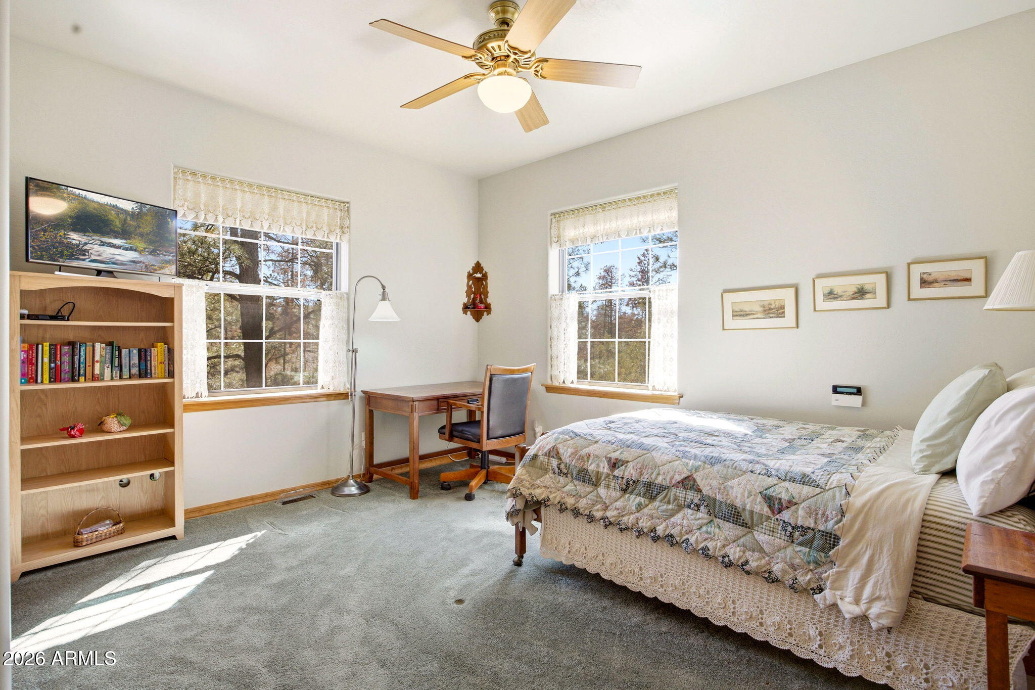 Mogollon Airpark - Residential