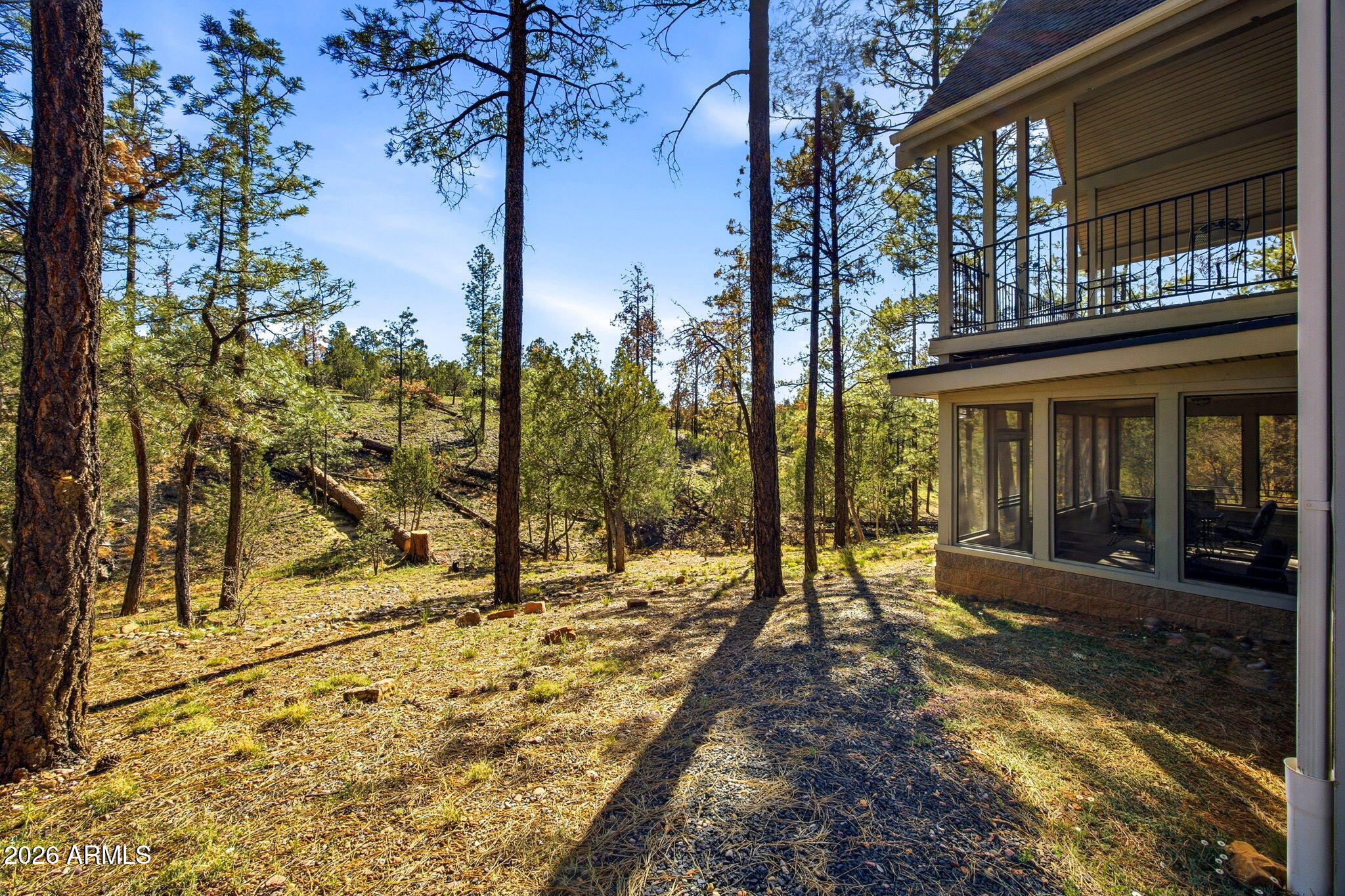 Mogollon Airpark - Residential