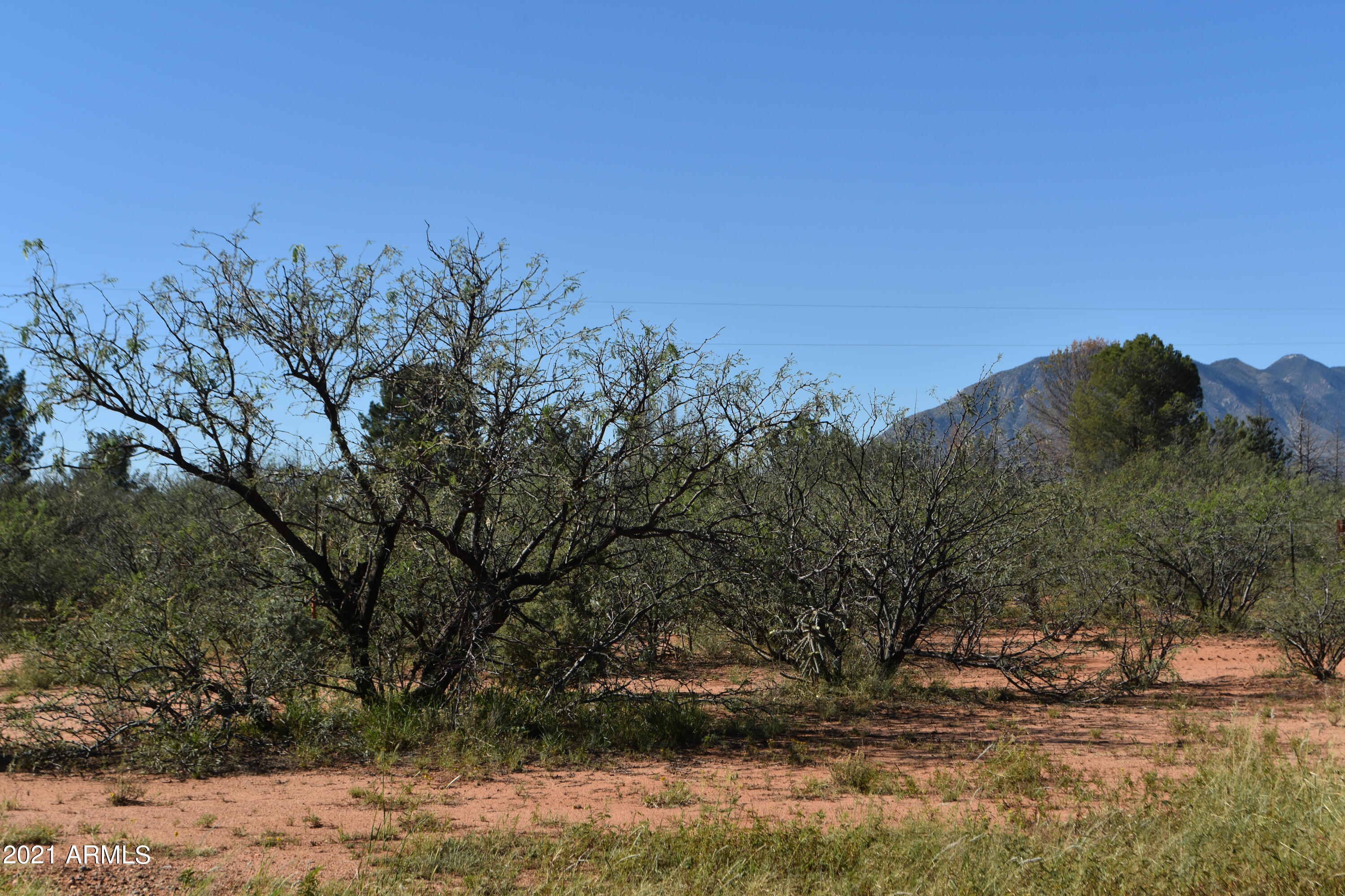 WINDMILL - Residential