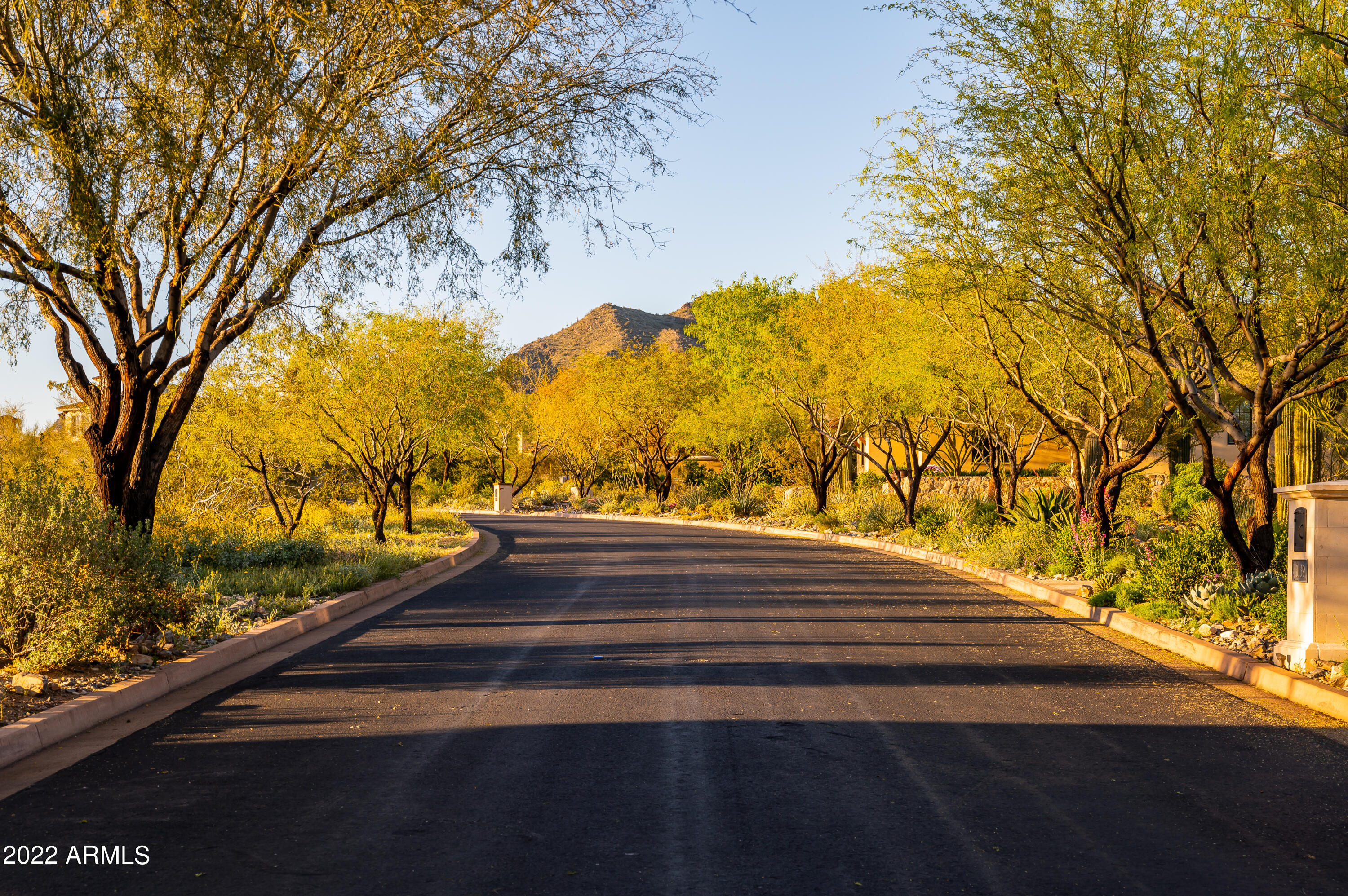 Silverleaf at DC Ranch - Land