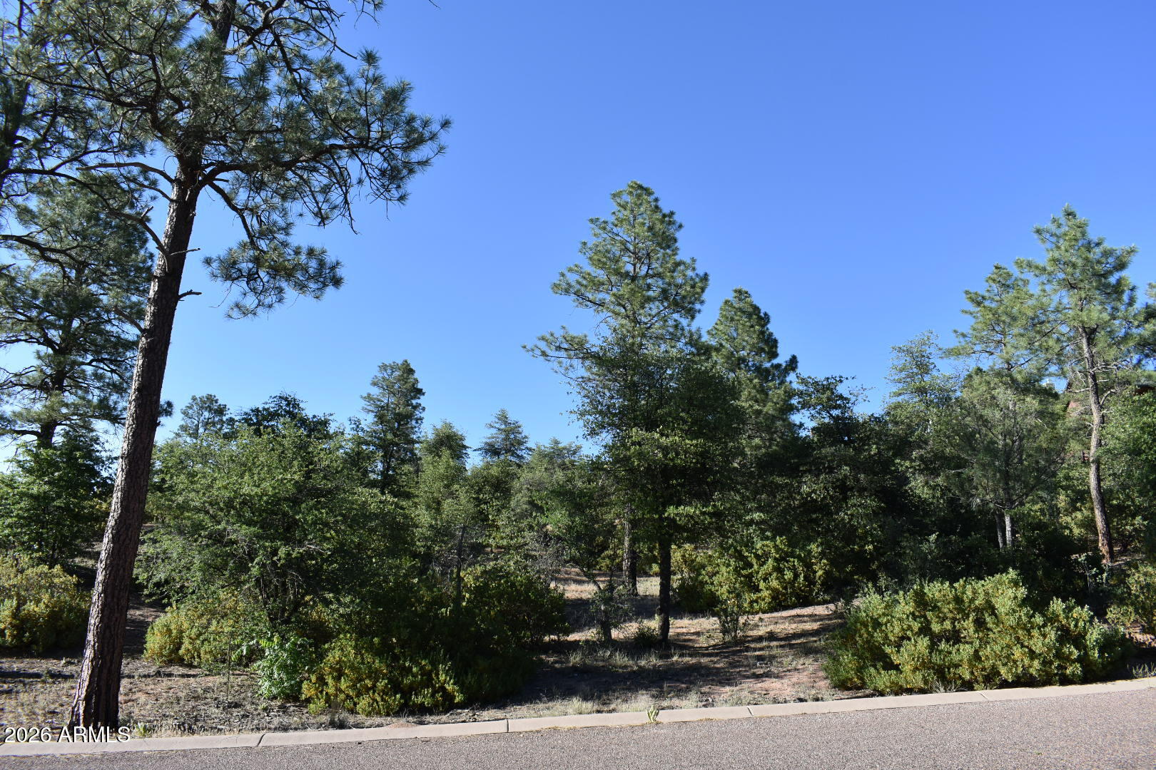 PINE RIDGE - Land