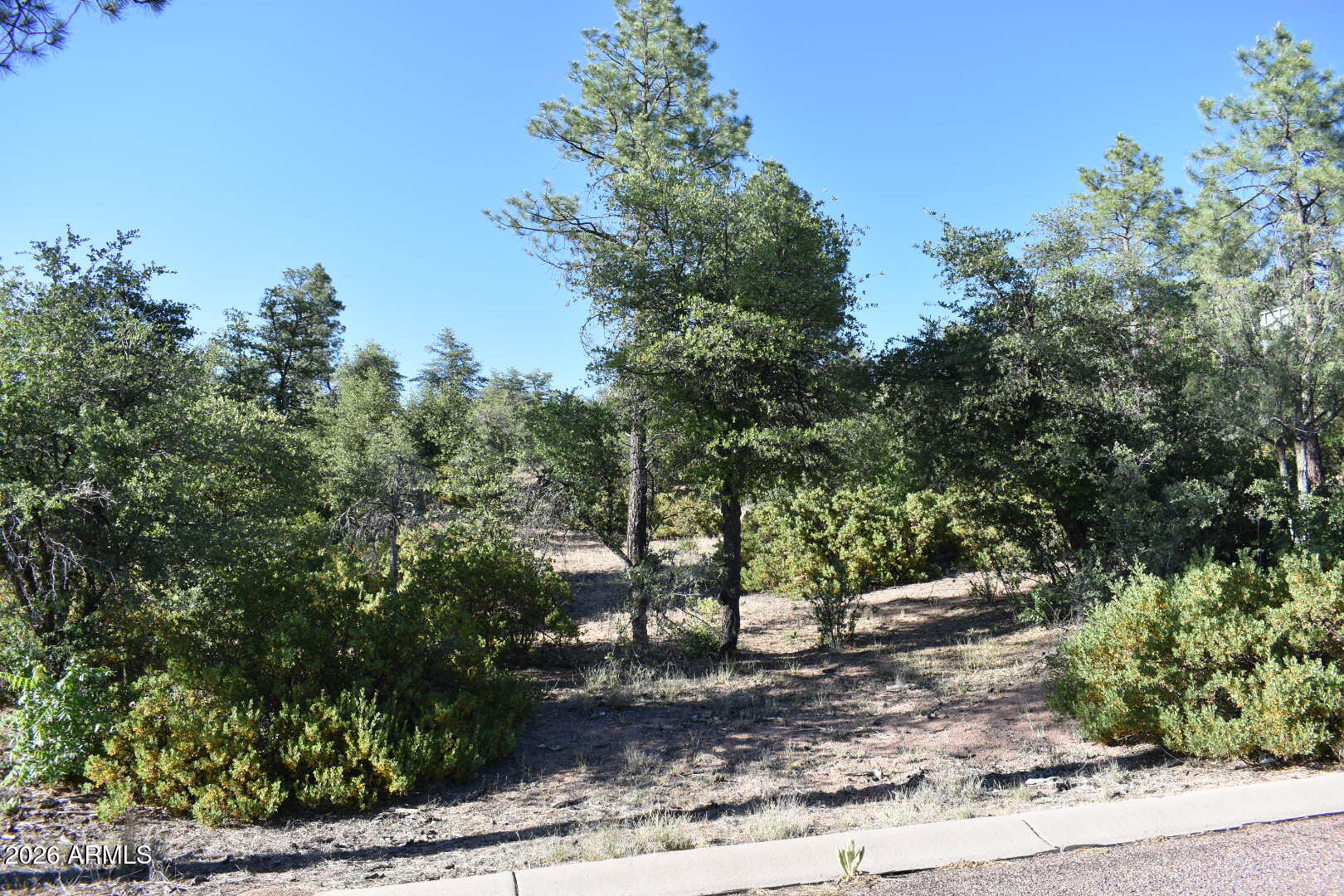 PINE RIDGE - Land