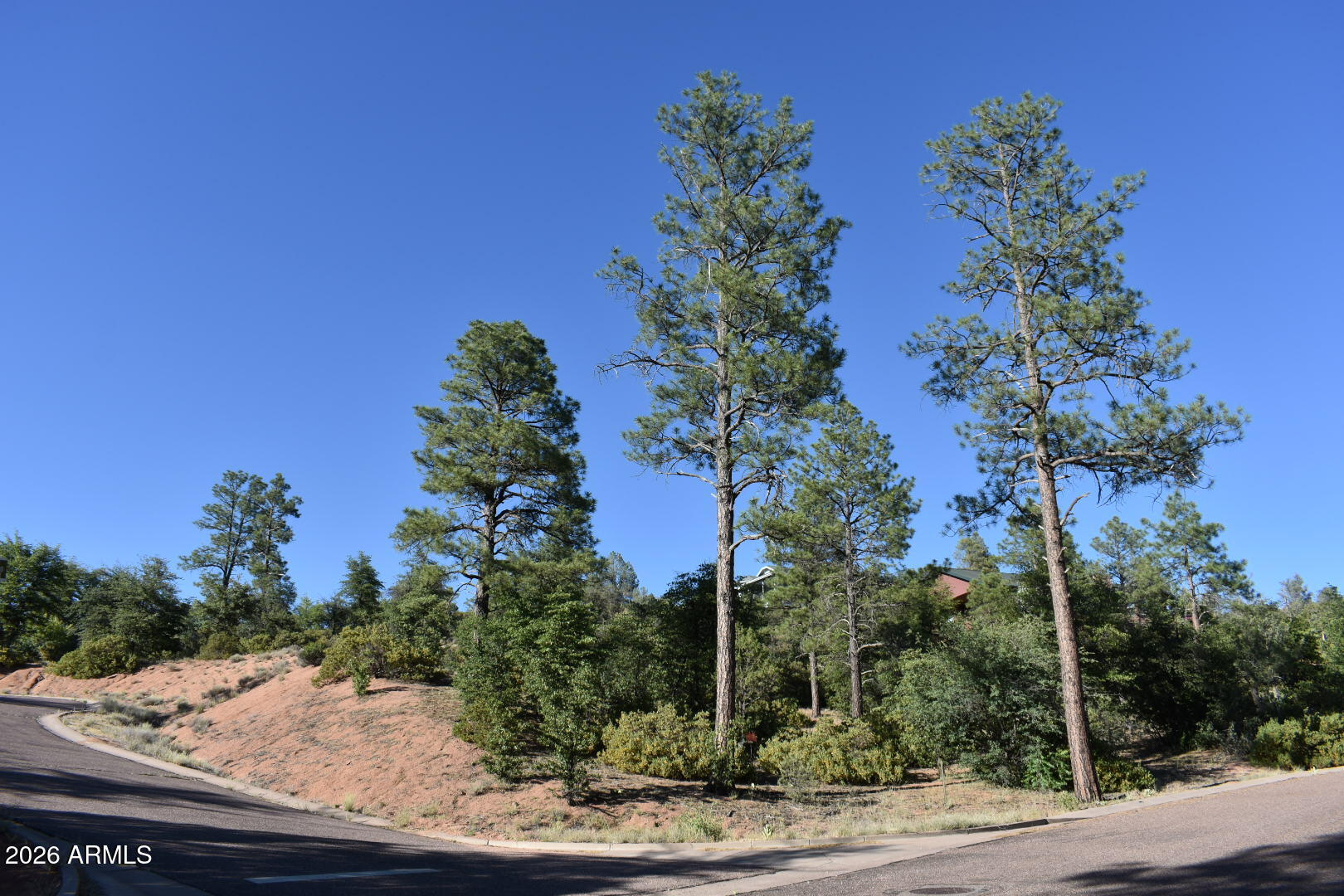 PINE RIDGE - Land