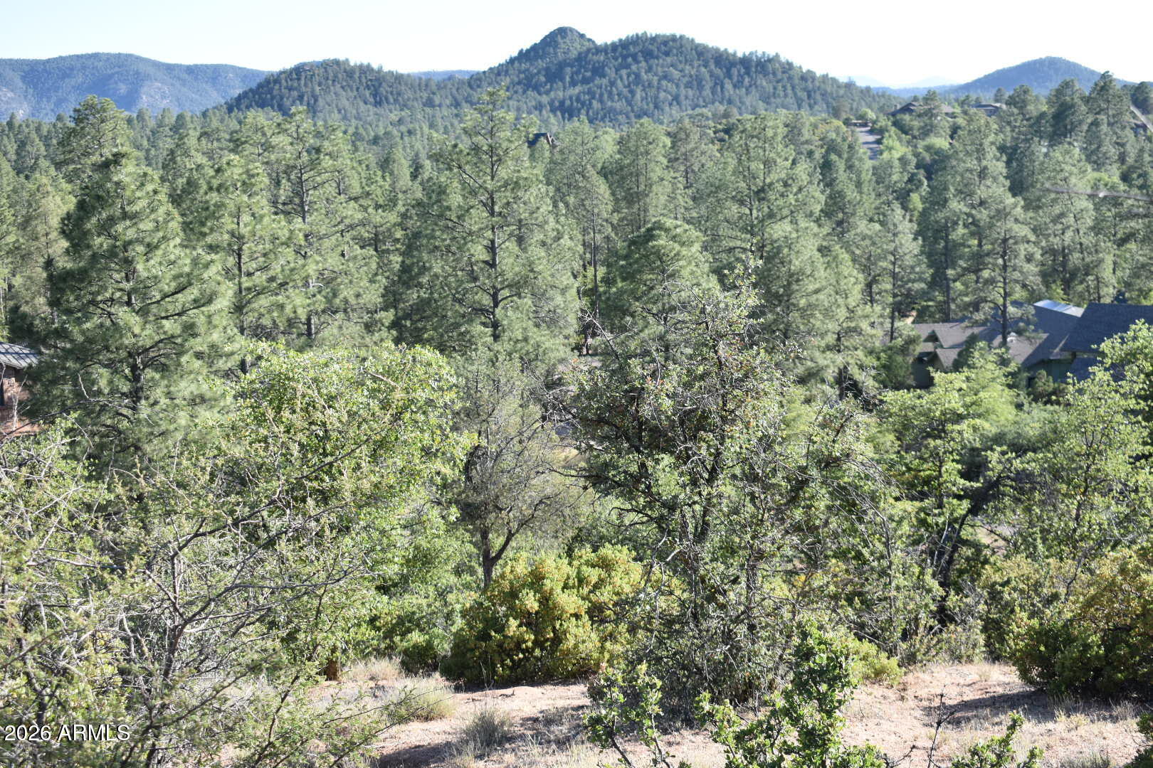 PINE RIDGE - Land