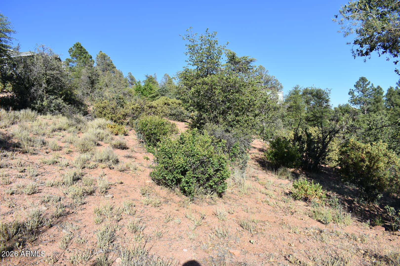 PINE RIDGE - Land