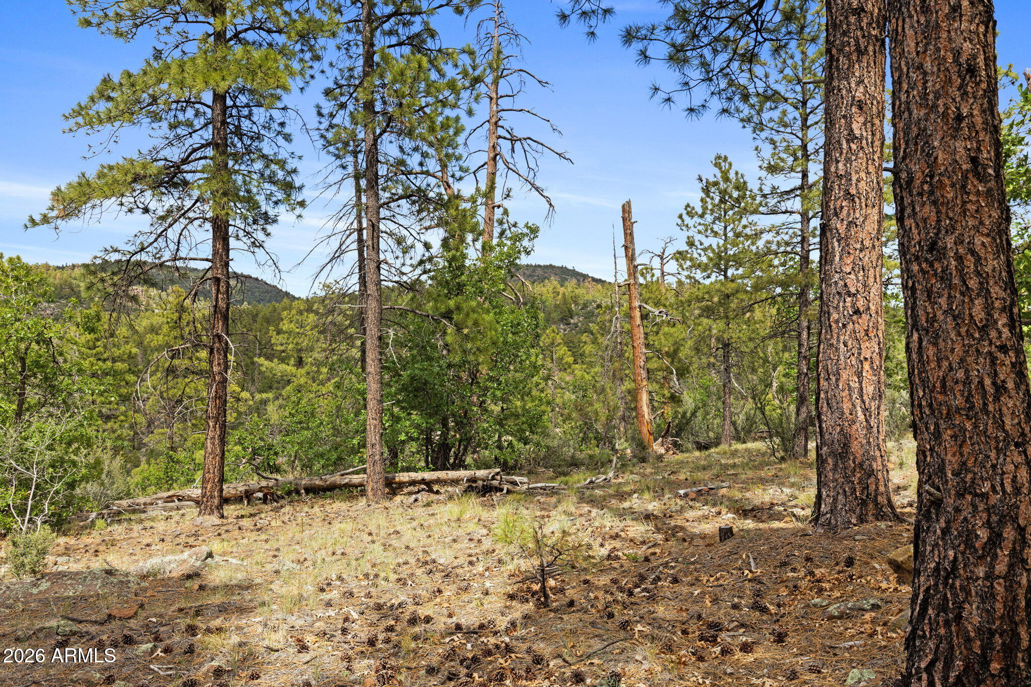 WILLIAMS PINE MEADOW ESTATES - Land