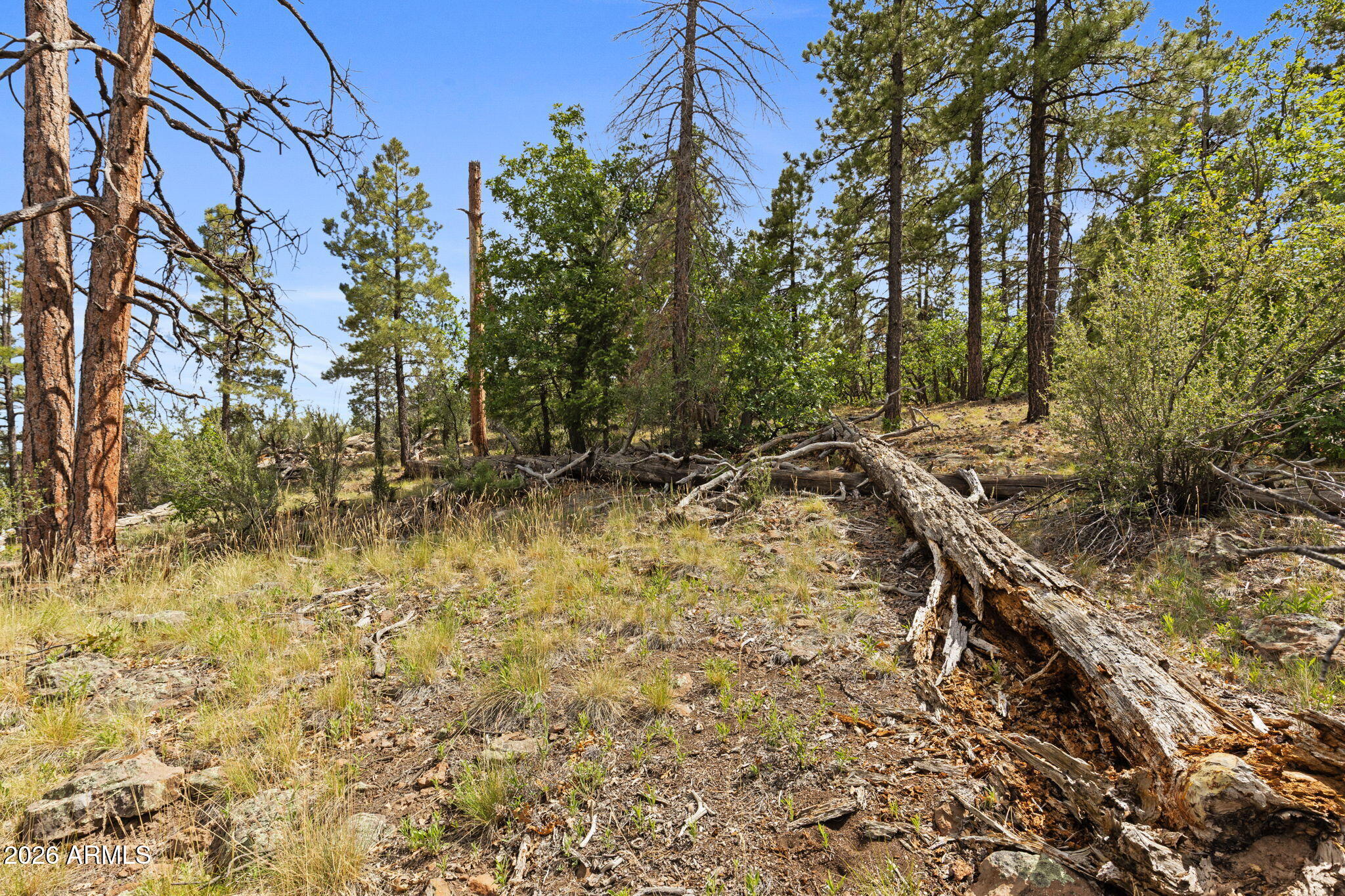 WILLIAMS PINE MEADOW ESTATES - Land