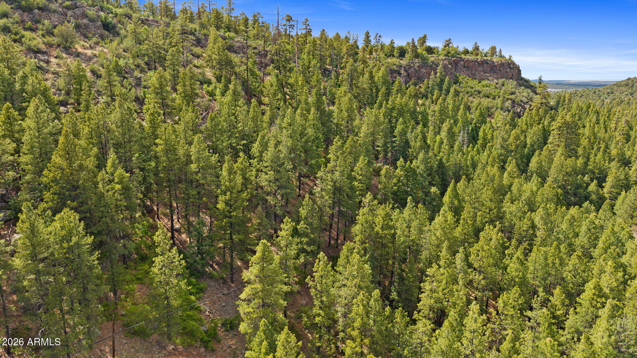 WILLIAMS PINE MEADOW ESTATES - Land