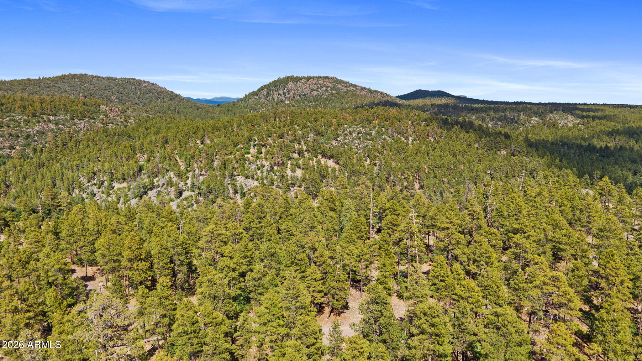 WILLIAMS PINE MEADOW ESTATES - Land