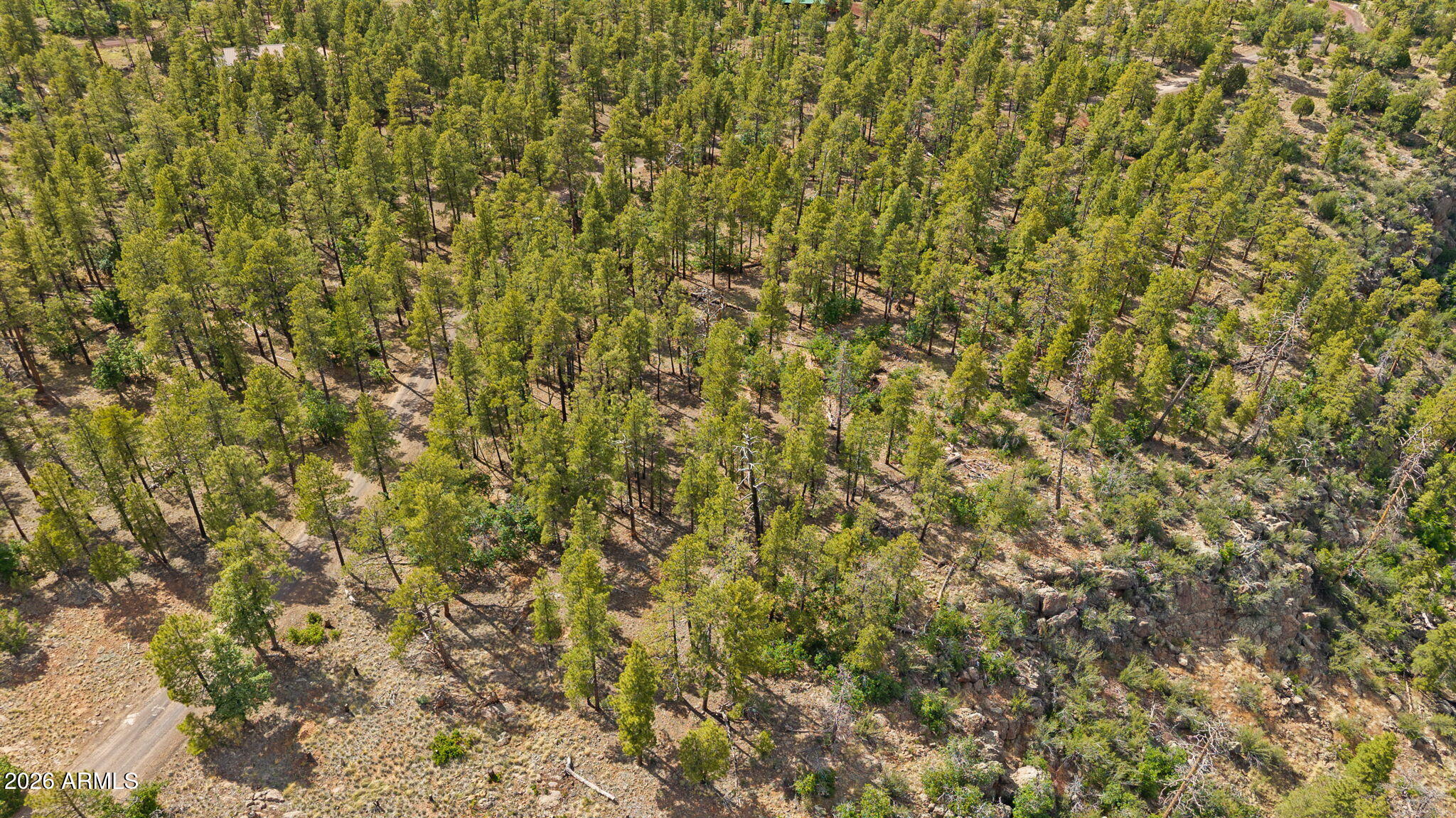 WILLIAMS PINE MEADOW ESTATES - Land