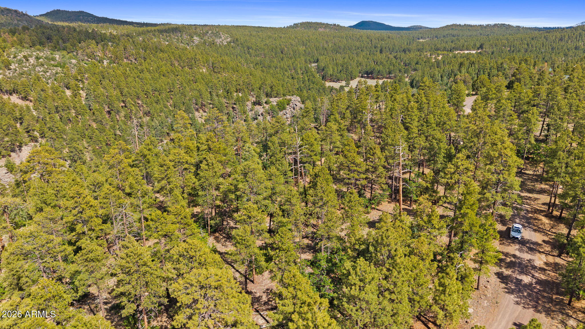 WILLIAMS PINE MEADOW ESTATES - Land
