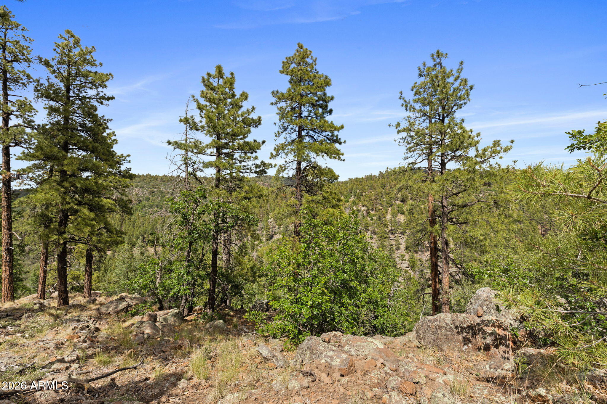 WILLIAMS PINE MEADOW ESTATES - Land