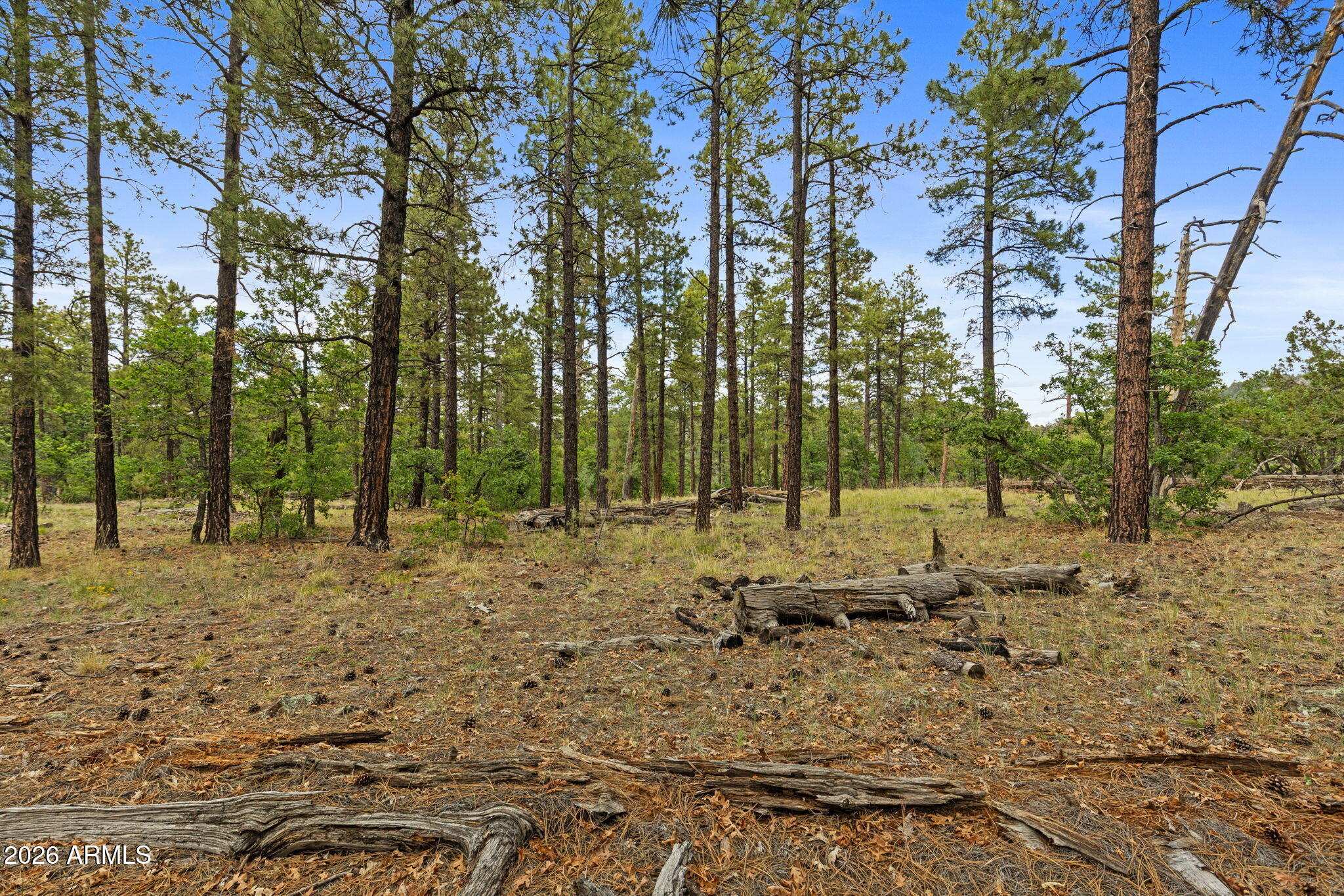 WILLIAMS PINE MEADOW ESTATES - Land